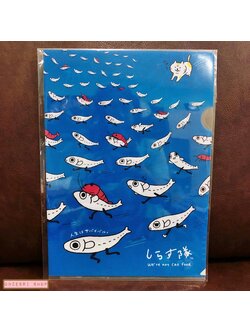 แฟ้ม A4 Shirasutai สีฟ้า