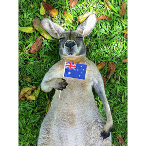 ไขข้อข้องใจ ปลั๊กไฟออสเตรเลีย นิวซีแลนด์ เป็นอย่างไรกันแน่ หัวแปลงปลั๊กไฟจำเป็นหรือไม่?