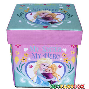 เก้าอี้กล่องเก็บของ 2in1 สตูล FROZEN