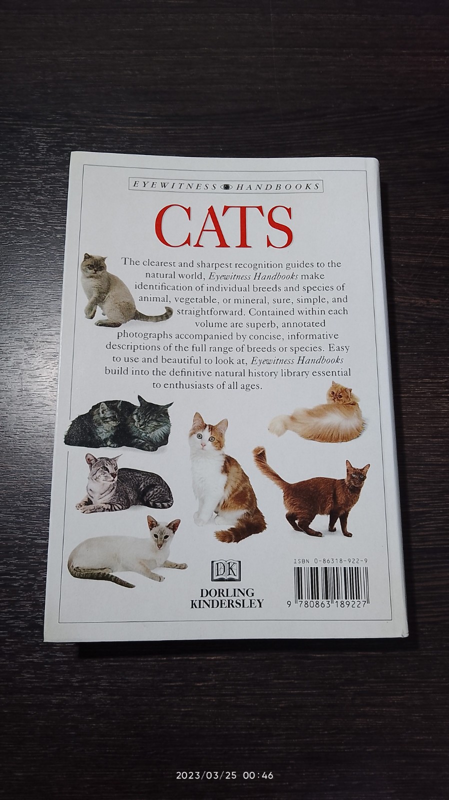 CATS / David Alderton