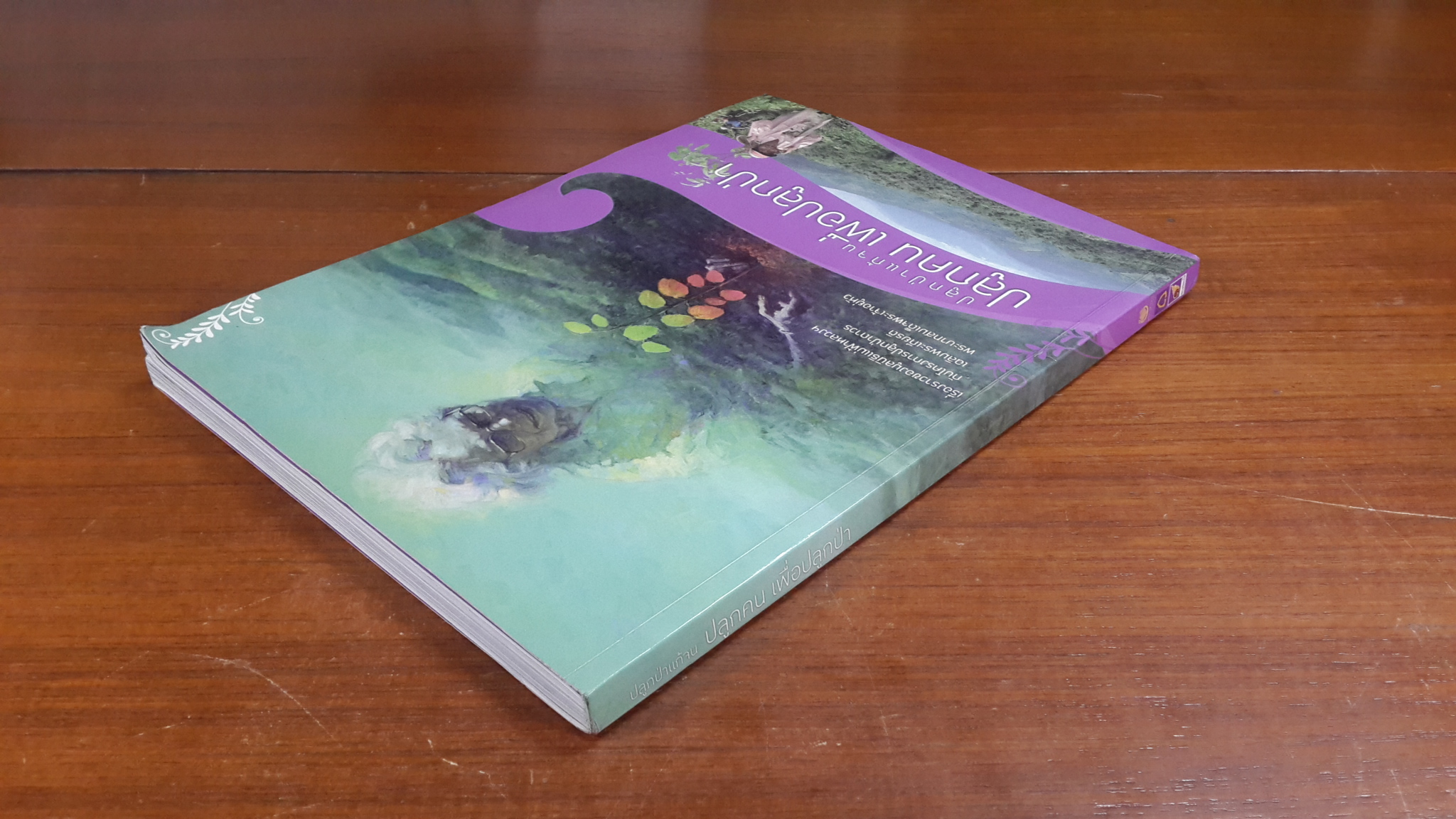 ปลูกป่าแก้จน ปลูกคน เพื่อปลูกป่า