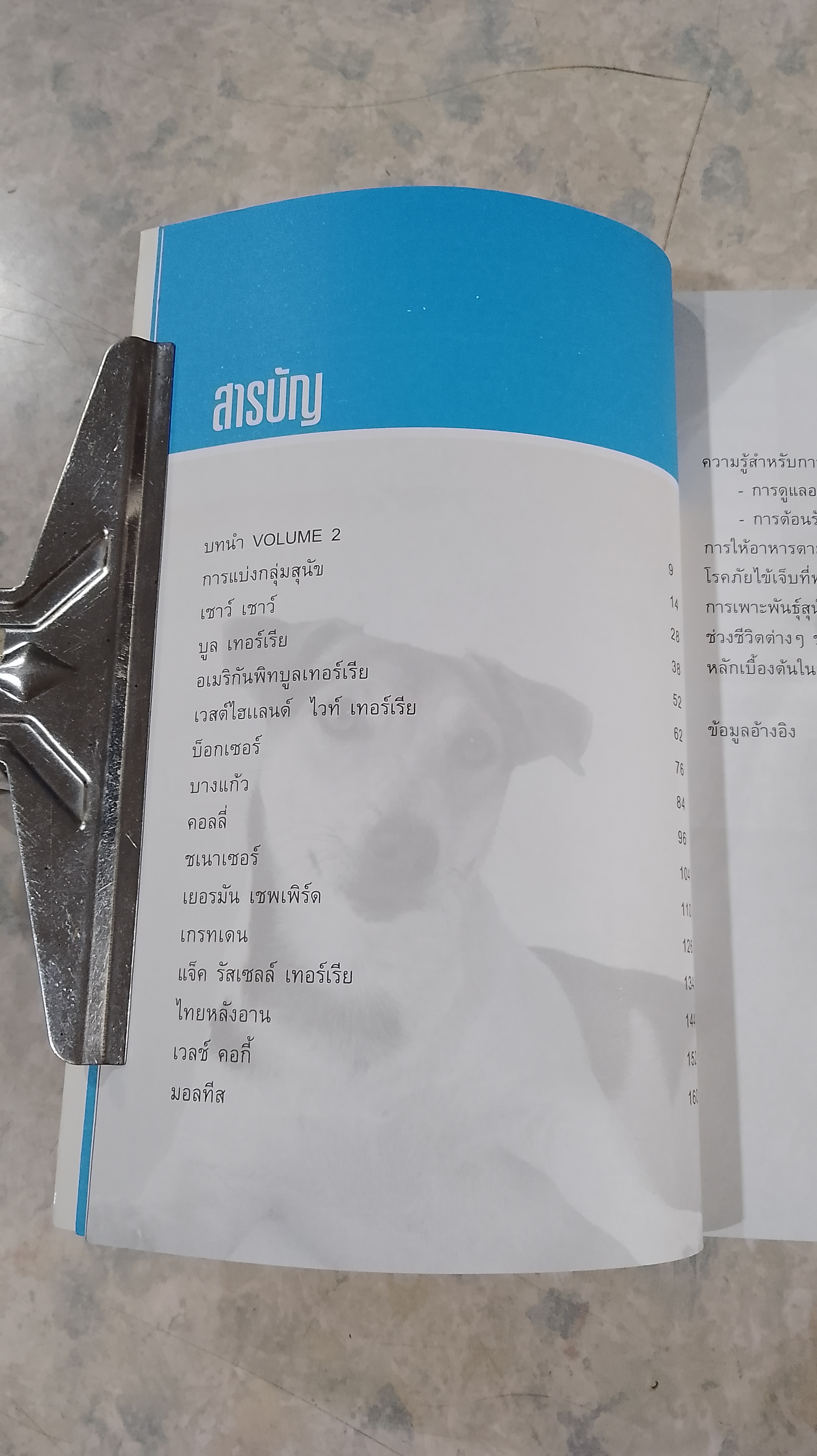 DOG IN THAILAND VOLUME 2 / ทวีศักดิ์