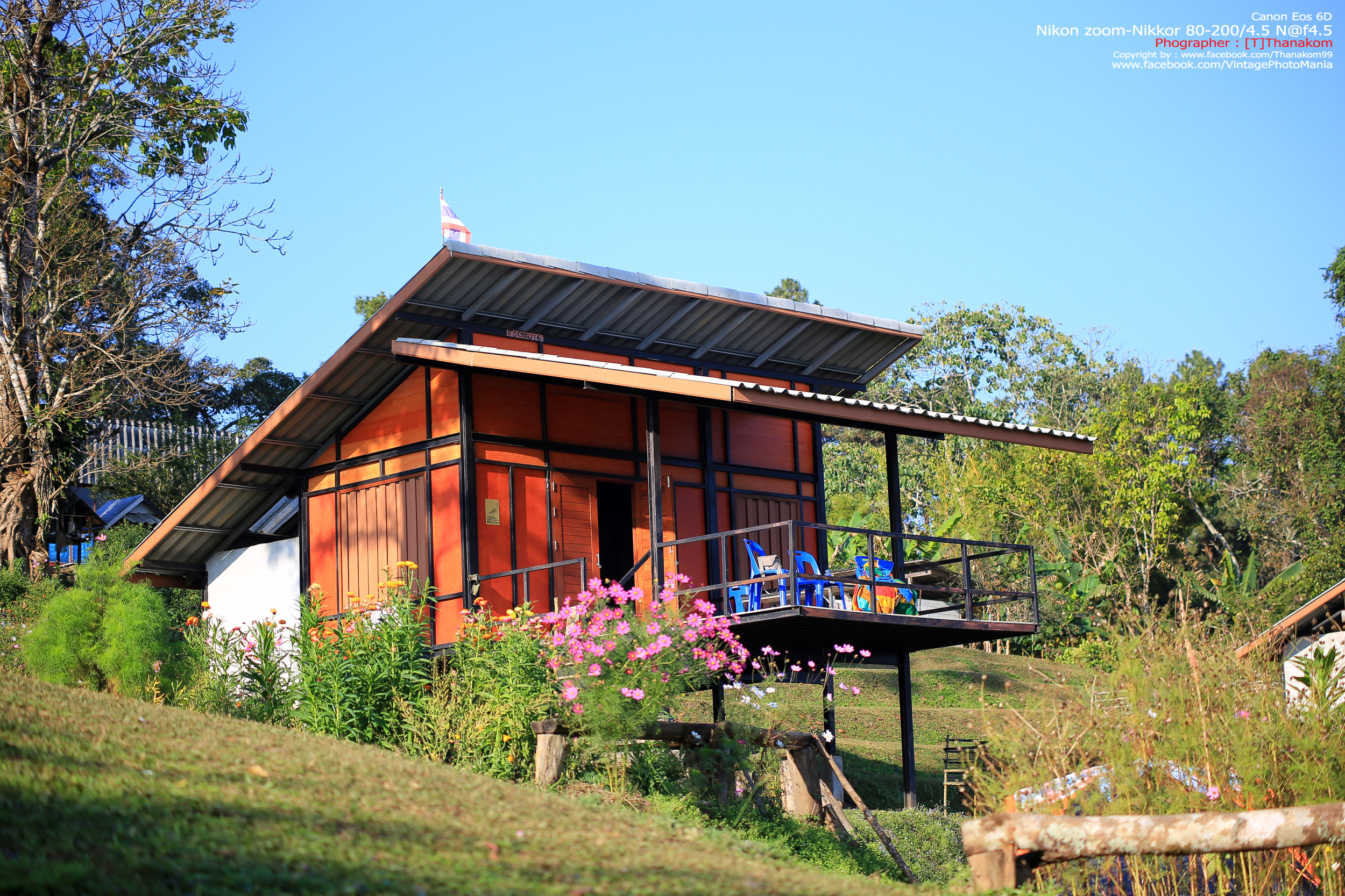 Nikon Zoom-Nikkor 80-200/4.5 N *Nikon Ai-S Mount เลนส์ซูมมือหมุนระยะไกลคมๆจากนิค่อน