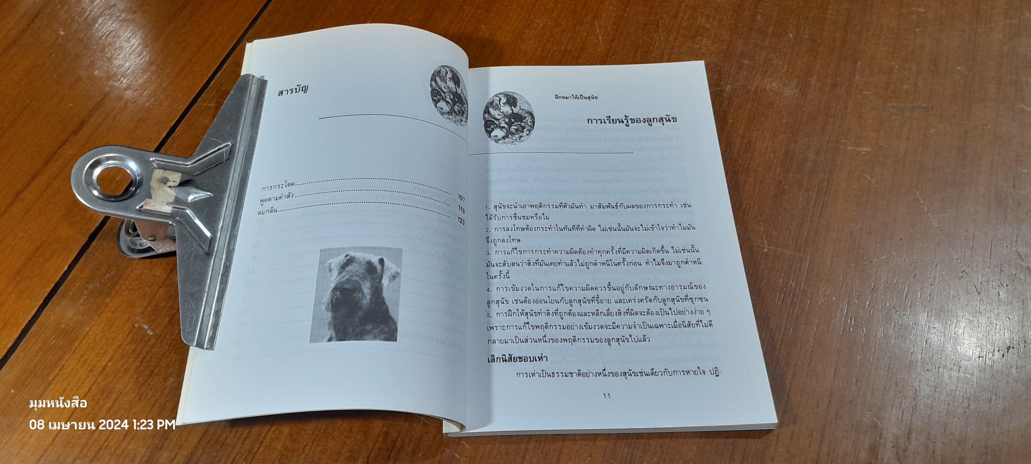 คู่มือฝึกหมา ให้เป็นสุนัข / สมลักษณ์ สว่างโรจน์