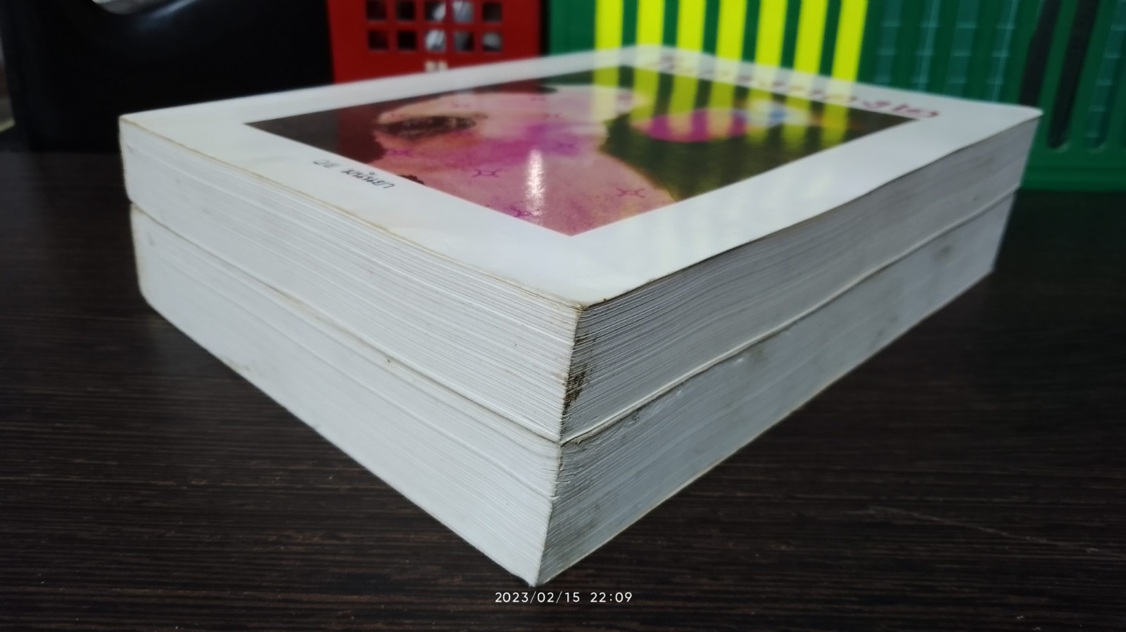 ในกรงทอง (2เล่มจบ) / มนันยา