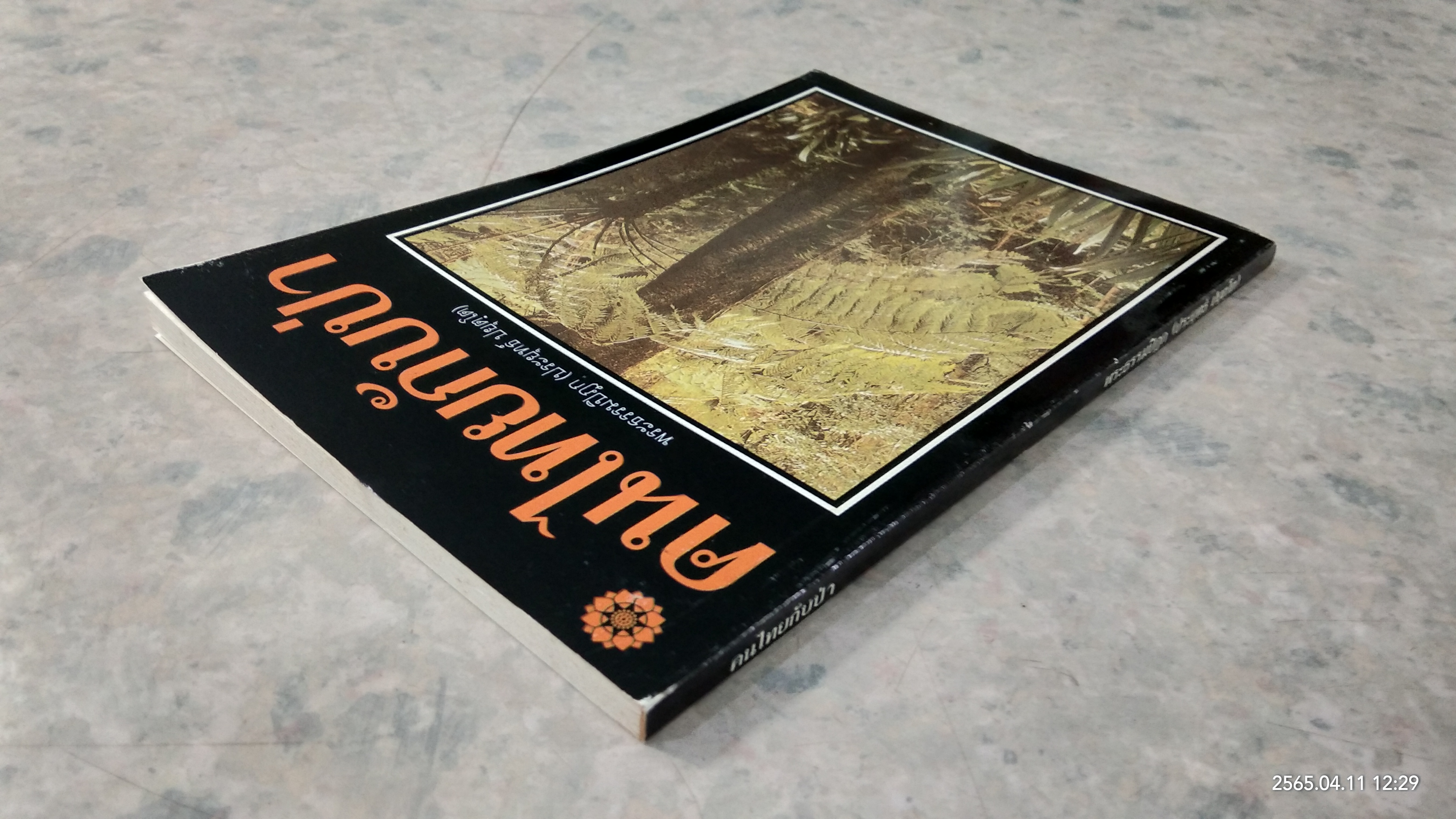 คนไทยกับป่า / พระธรรมปิฎก