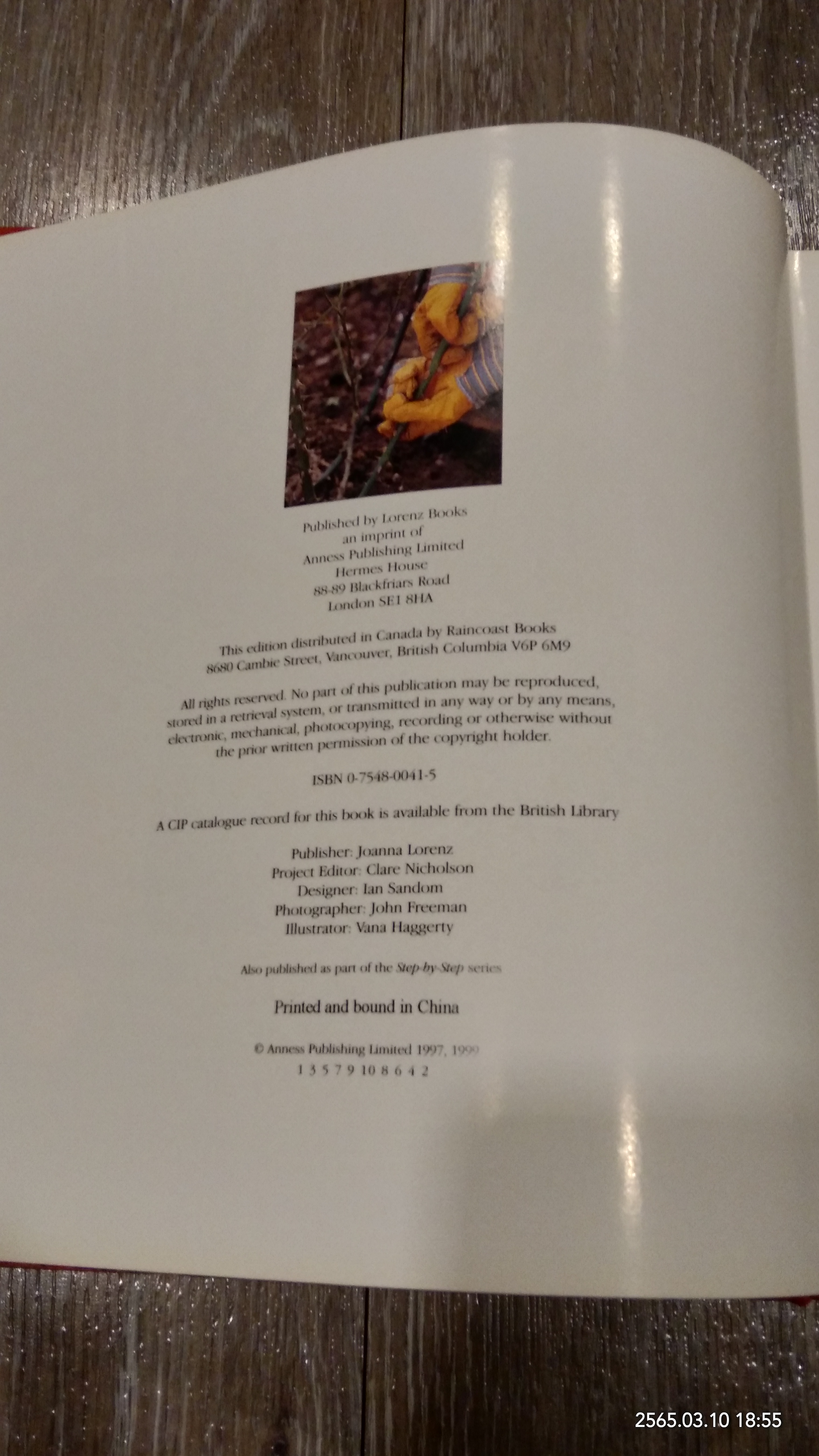 SUCCESSFUL PRUNING / PETER MCHOY