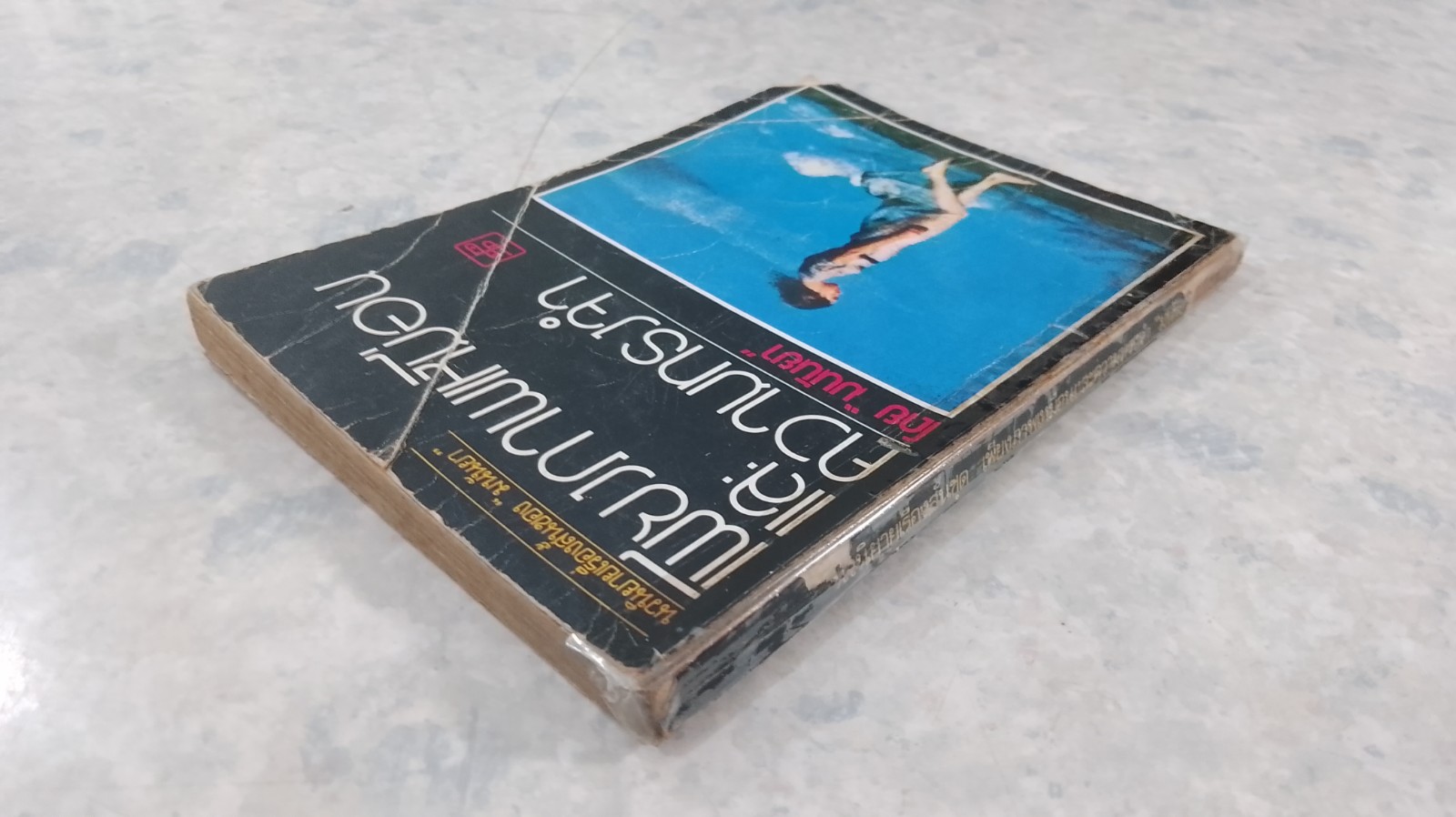 เพียงภาพเหมือน และความทรงจำ / มนันยา (ชำรุดมีซ่อมแซม)