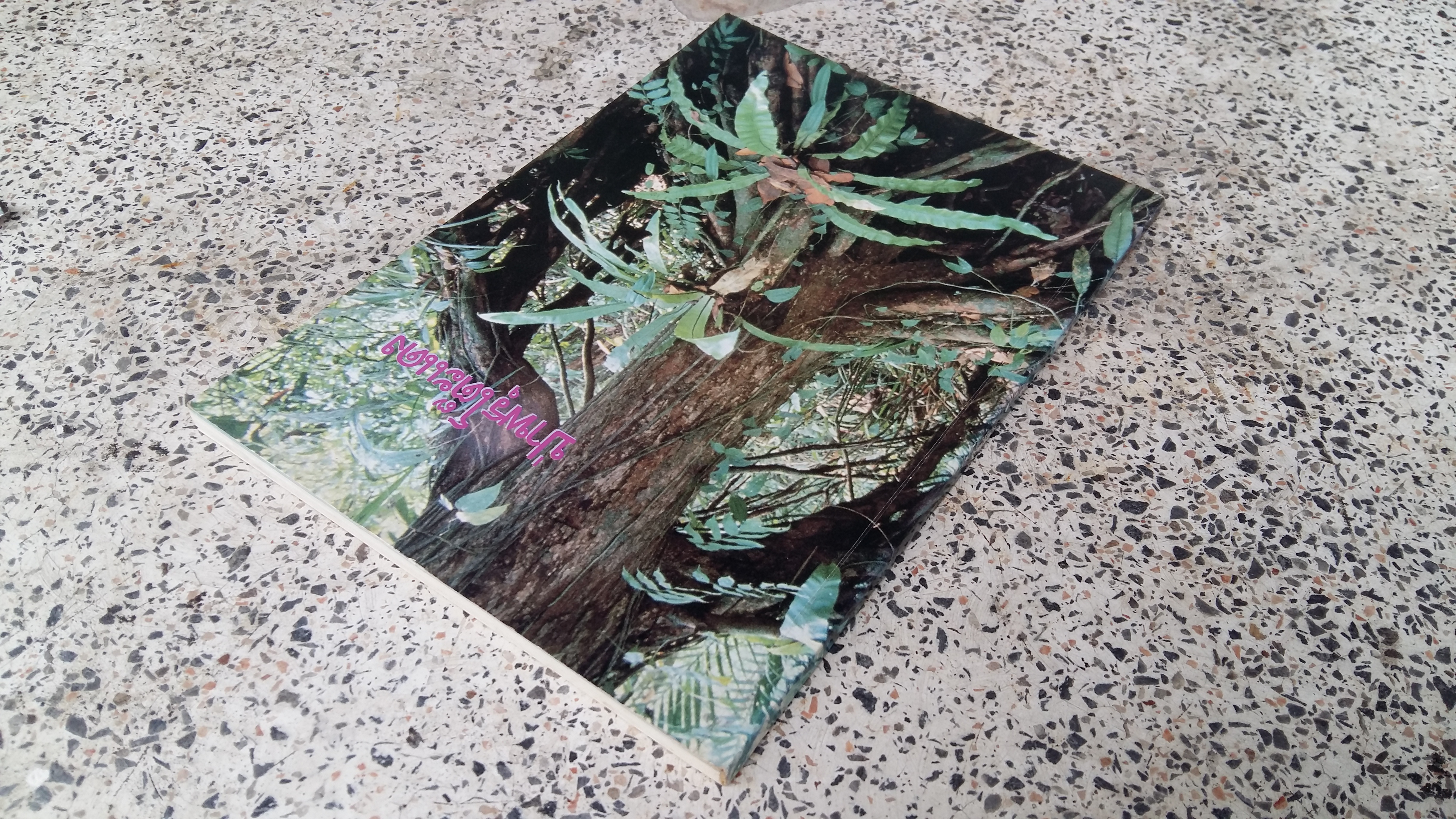 ป่าพรุโต๊ะแดง