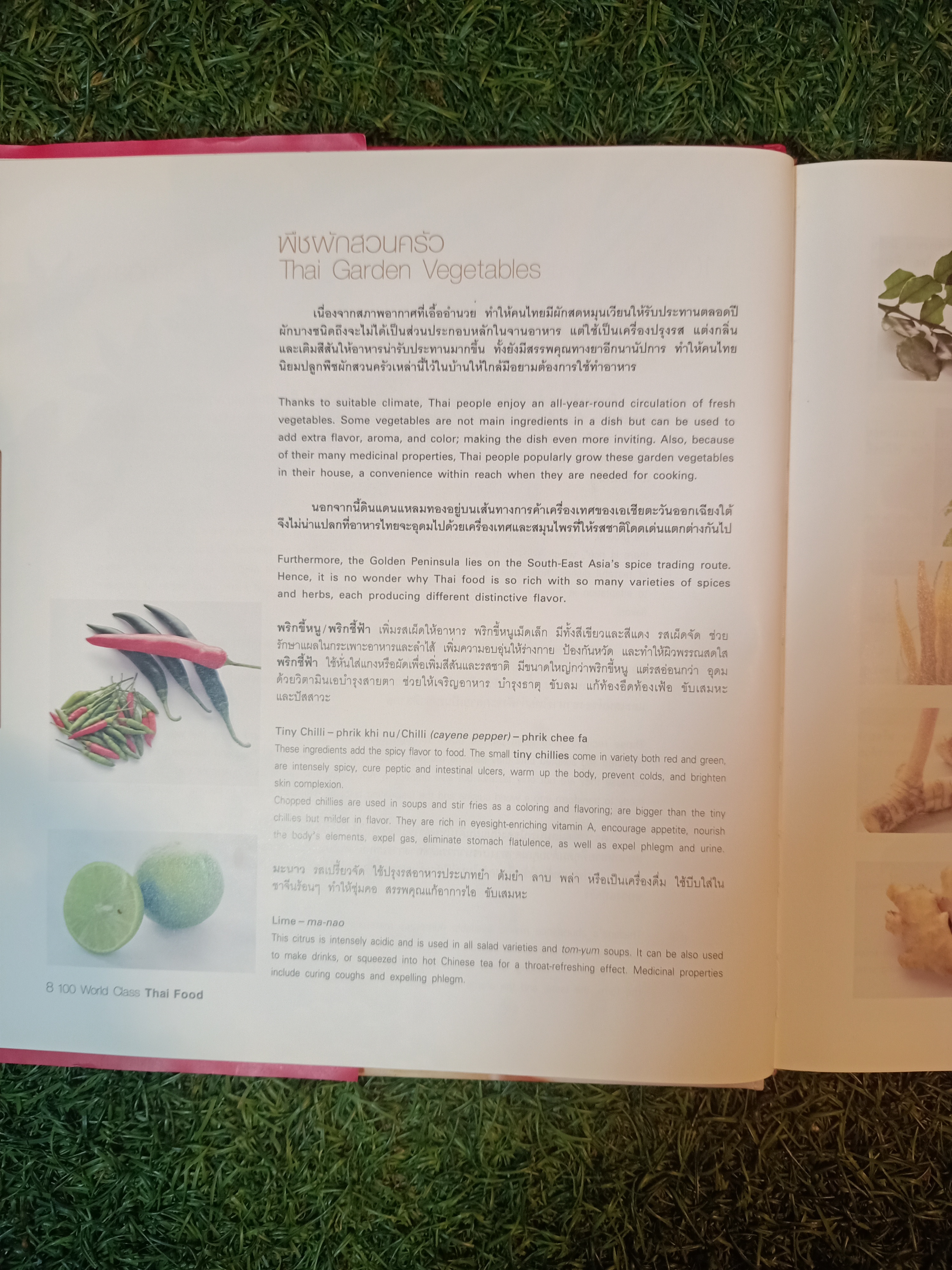 100World Class Thai Food Recommended by 100 Leading Women / อังคณา สุภกิจวณิชโชค