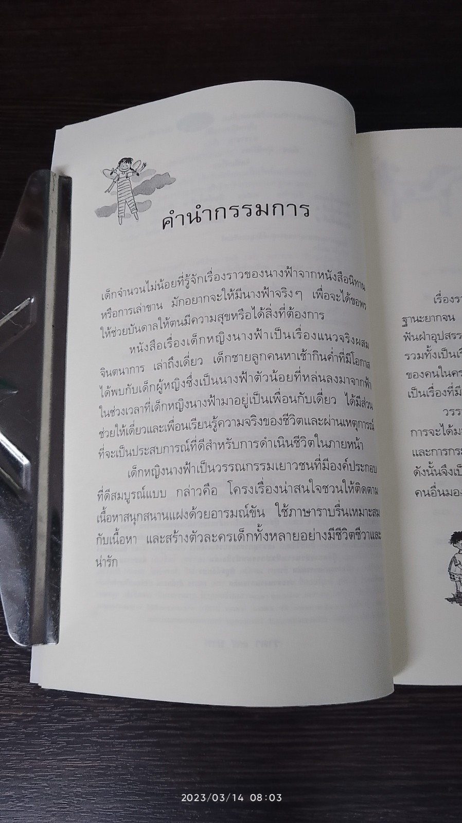 เด็กหญิงนางฟ้า / ดาราราย