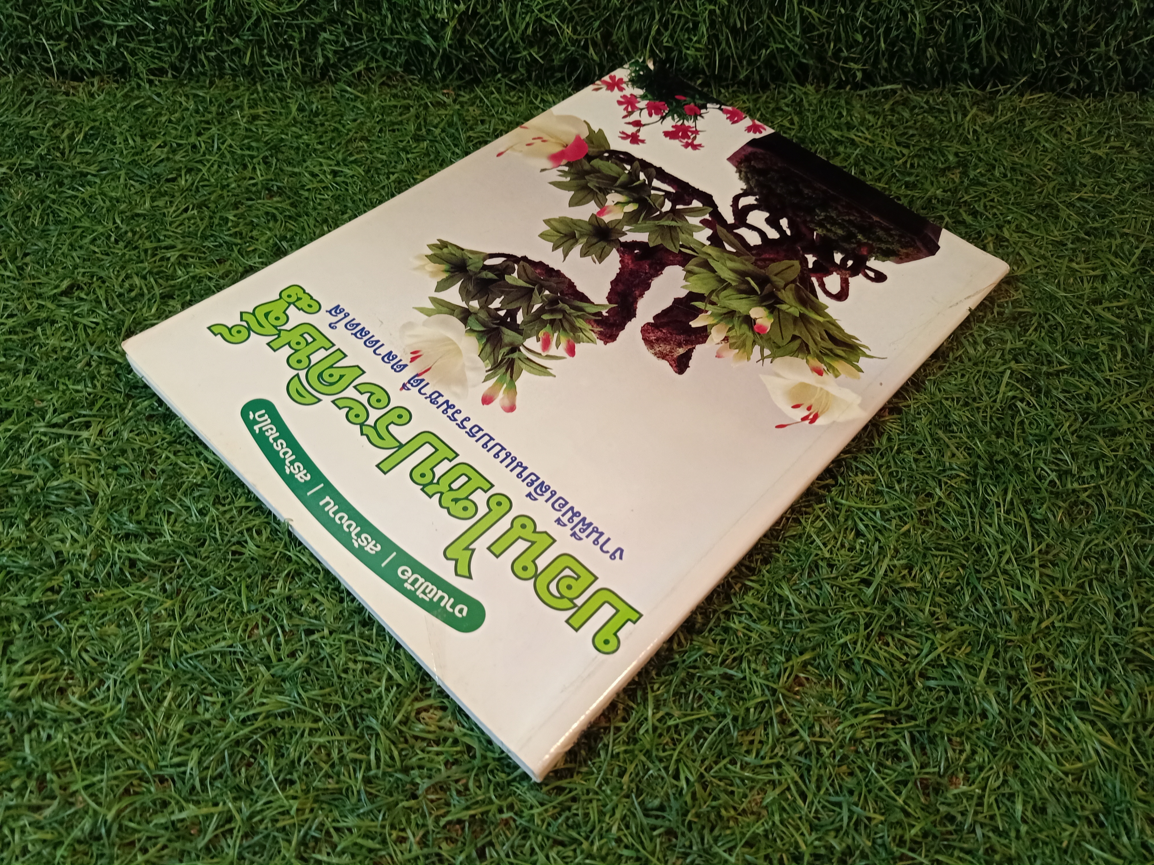 บอนไซประดิษฐ์ / หจก. เพชรกะรัต สติวดิโอ