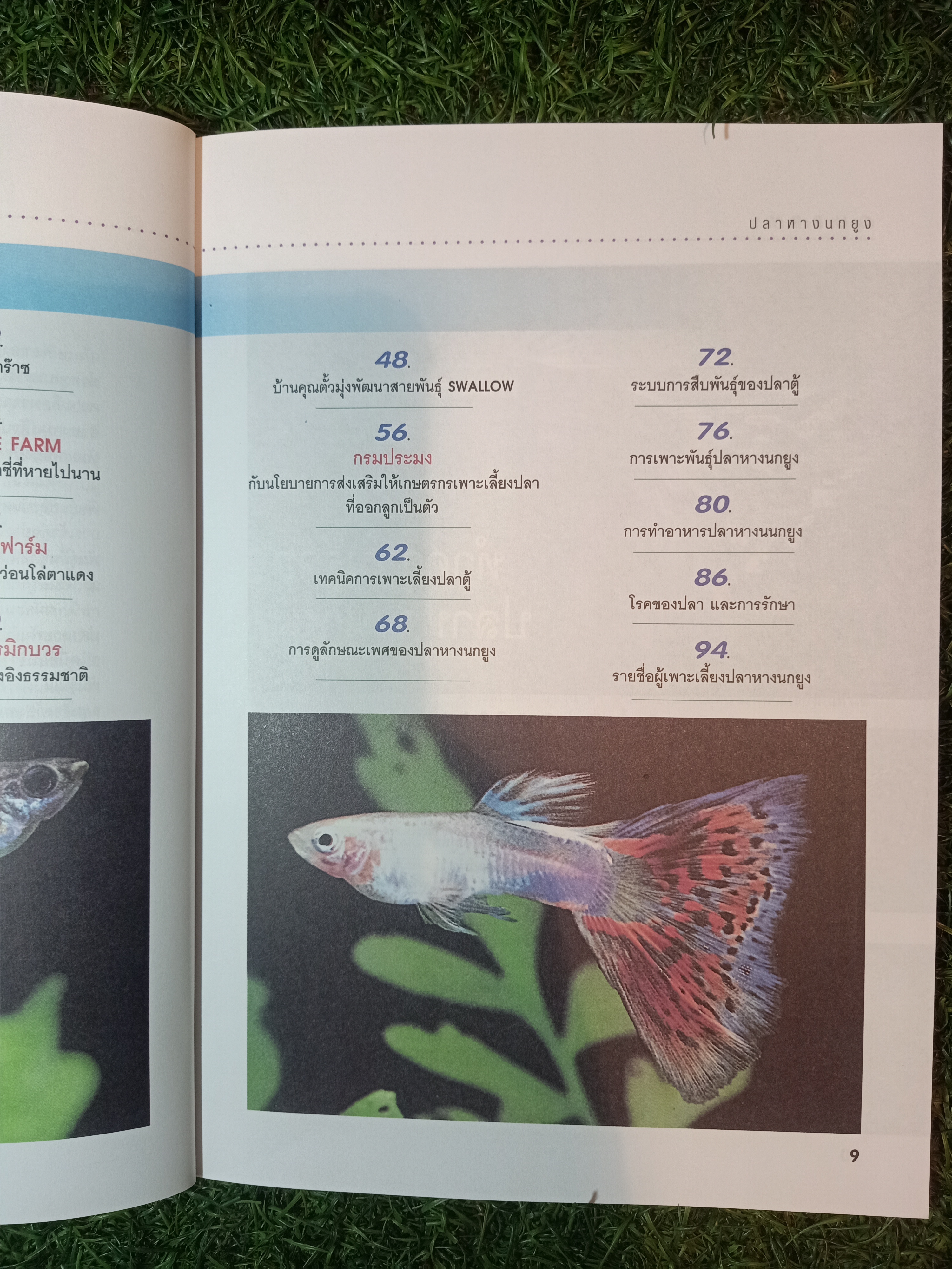 สายพันธุืและการเพาะเลี้ยง ปลาหางนกยูง GUPPY / กฤษณา แก้วชะอุ่ม ภีระ ไกรแสงศรี