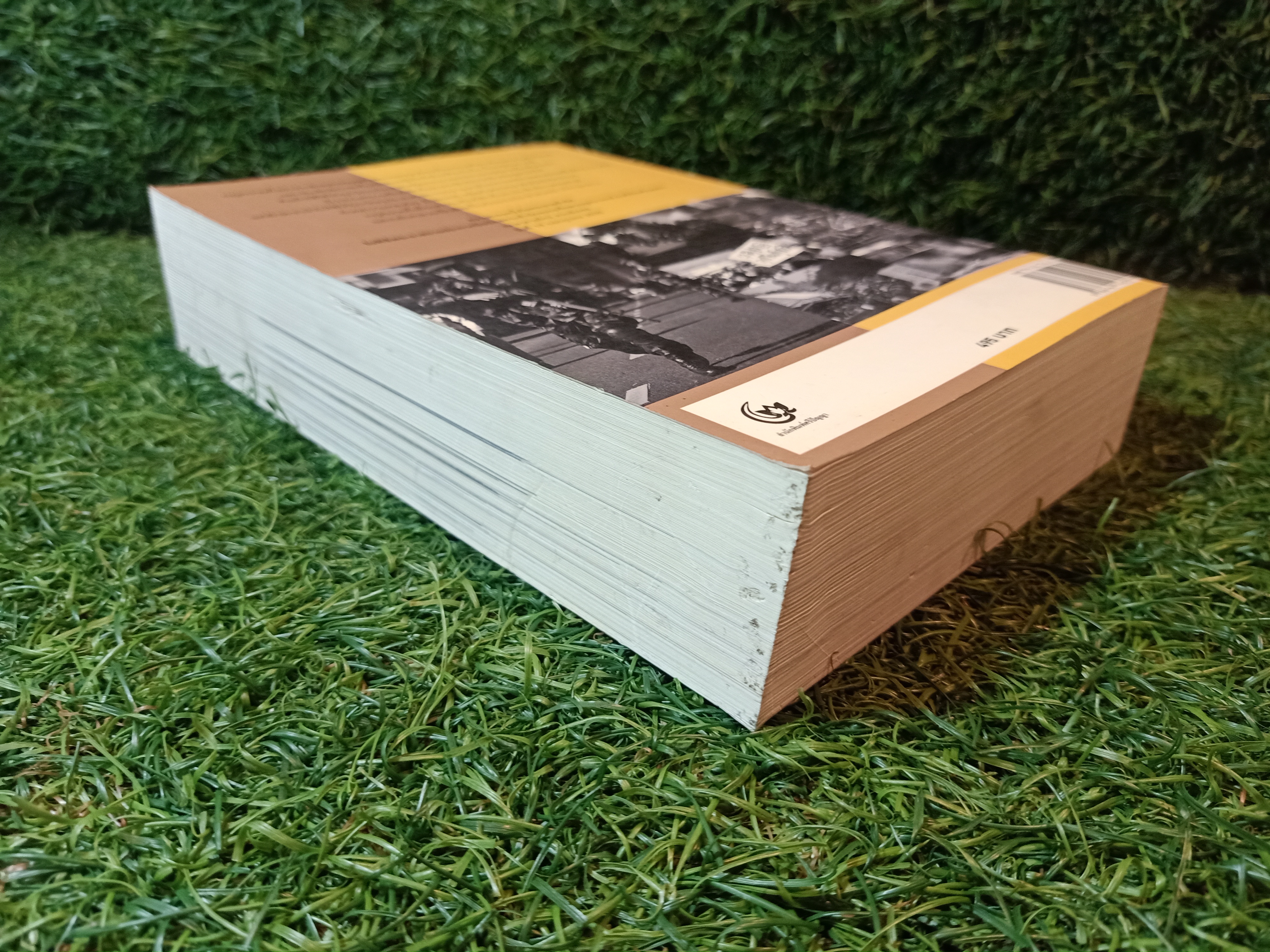 CRISIS NINETEEN วิกฤต 19 ลำดับเหตุก่รณ์บ้านเมือง / สำนักพิมพ์ศรีปัญญา