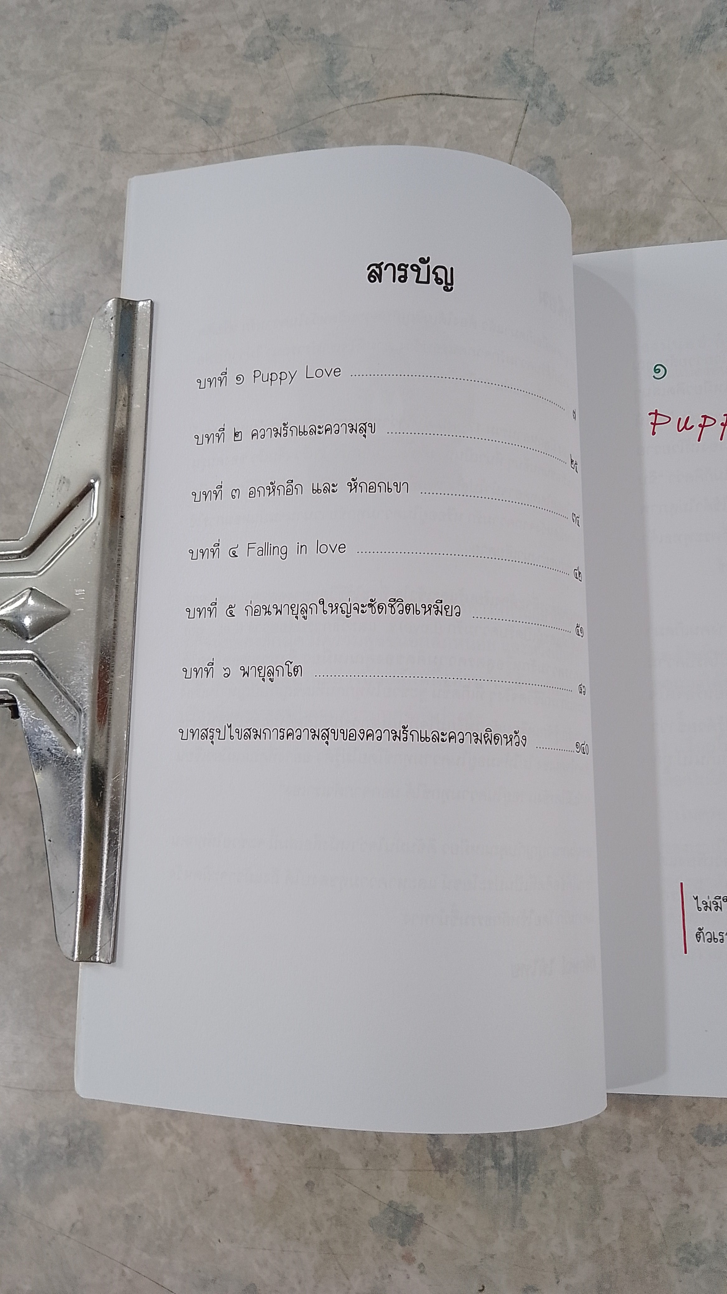 ไขสมการความสุข ตอน อกหัก...ฟังทางนี้ / เหมียว วรัตดา