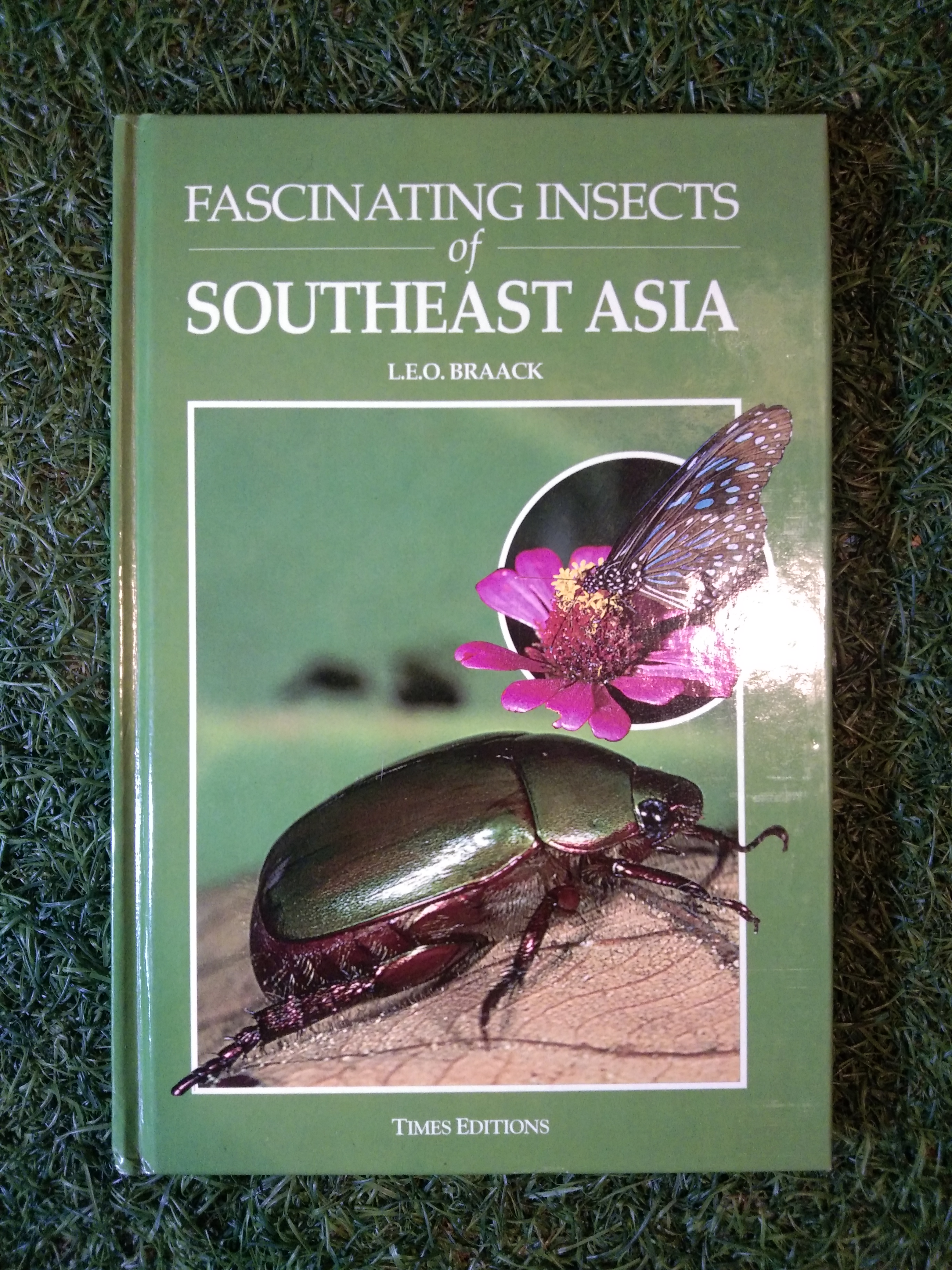 FASCINATING INSECTS of SOUTHEAST ASIA / L.E.O.BRAACK