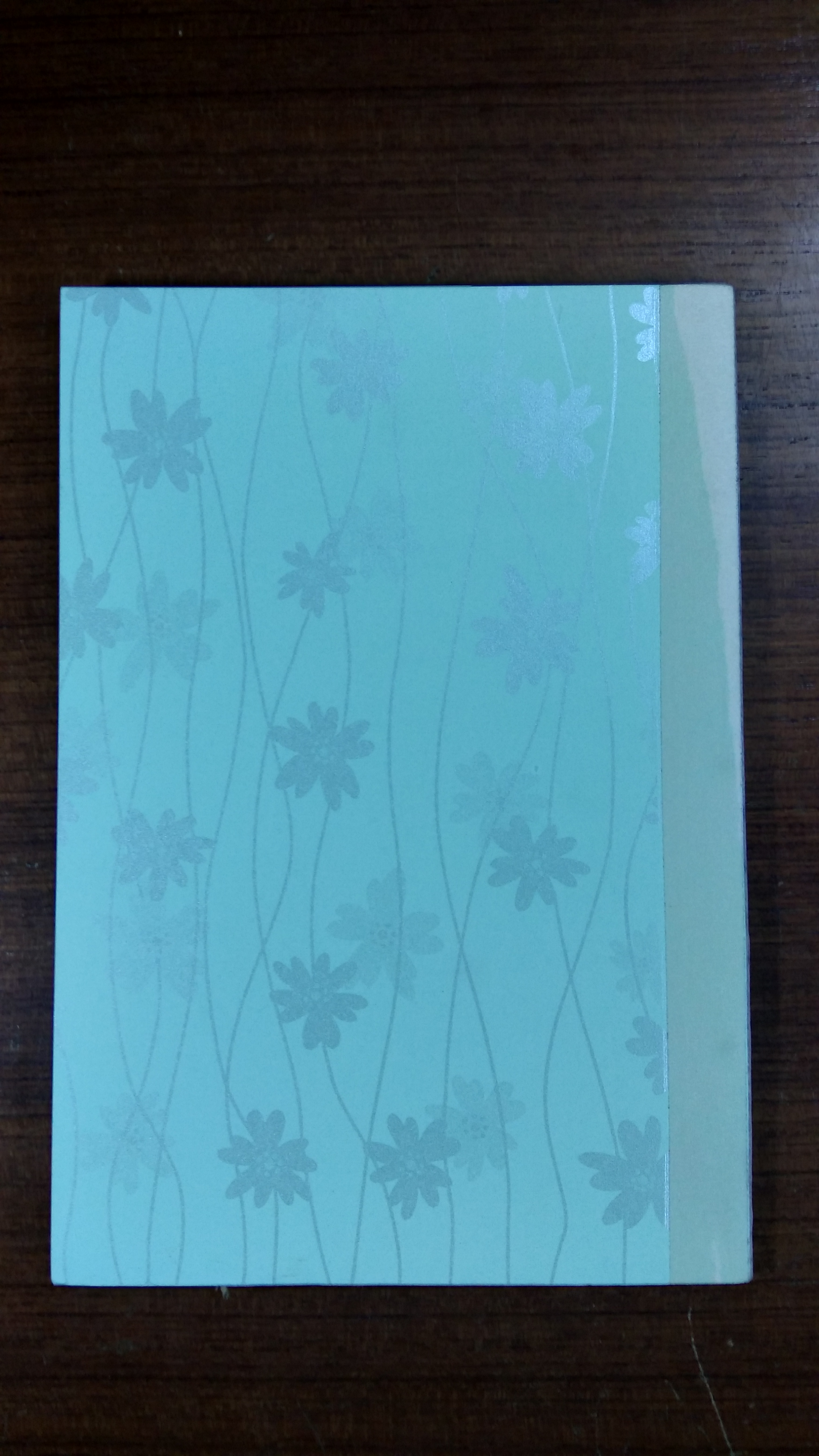 พระธรรมเทศนา (ชำรุดมีซ่อมแซม) / พระภาวนาโกศลเถร