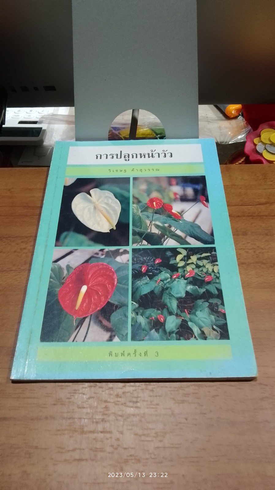 การปลูกหน้าวัว / วิเชษฐ ค้าสุวรรณ