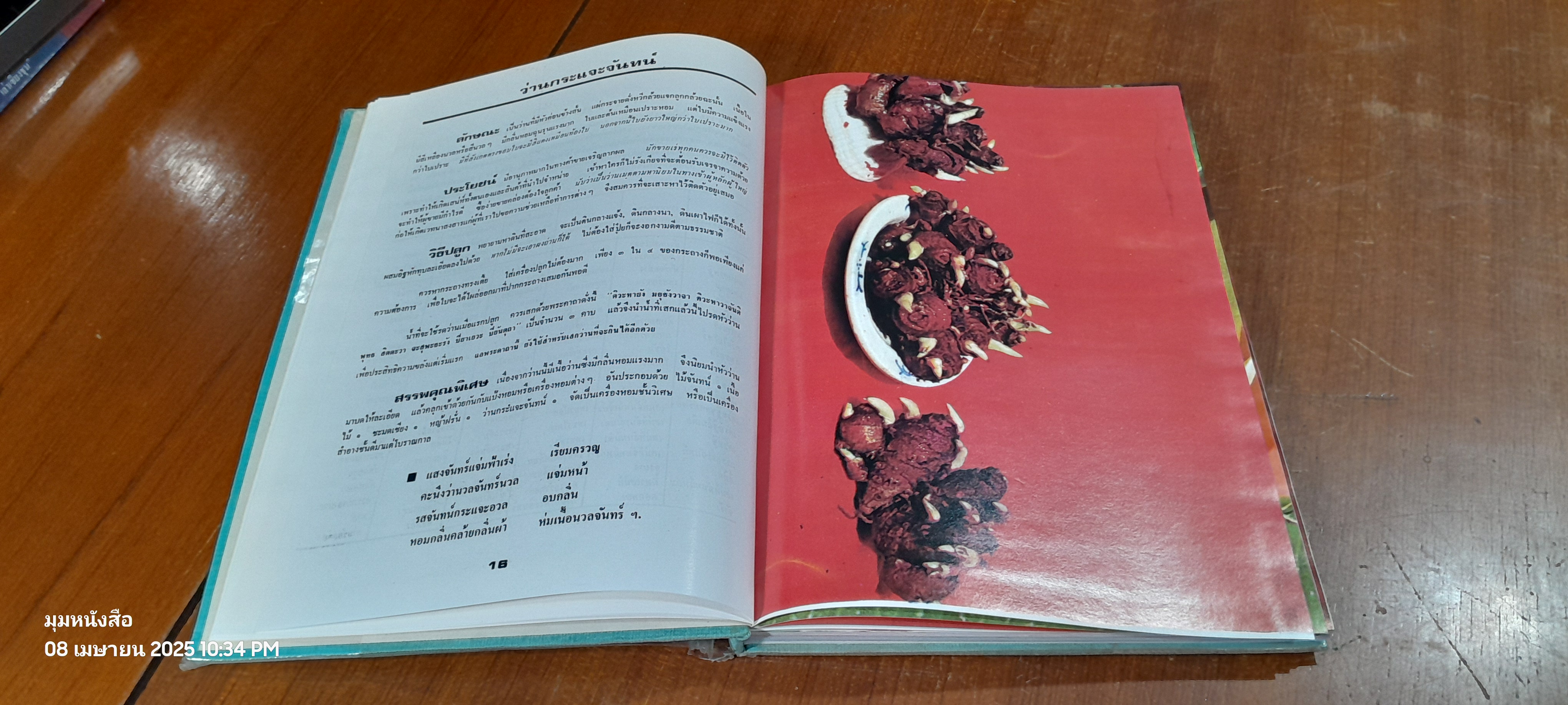 ๑๐๘ ว่านมหัศจรรย์ / เชษฐา