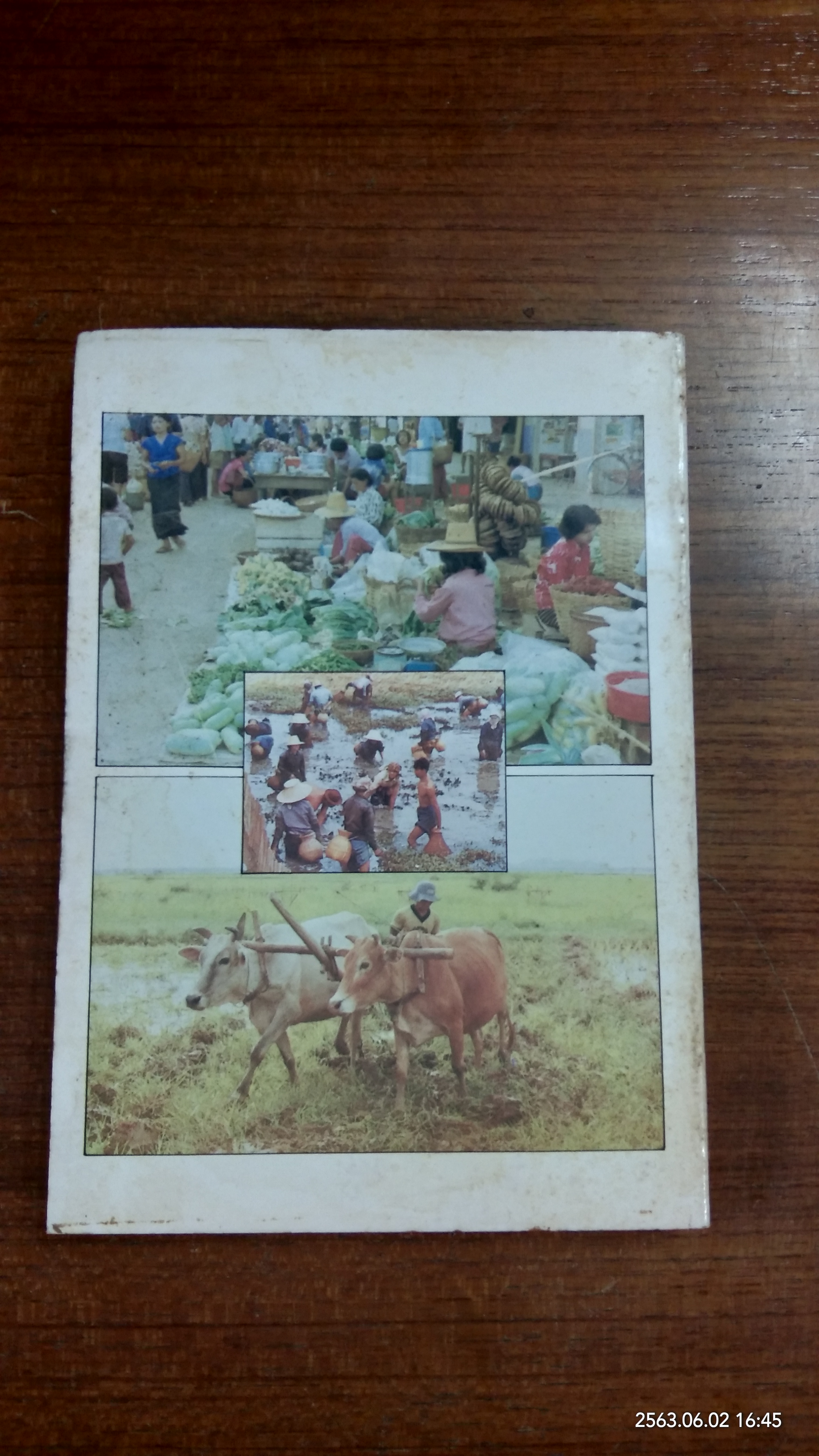 แนะนำการทำมาหากินของชาวบ้าน / รุจ วรังษี