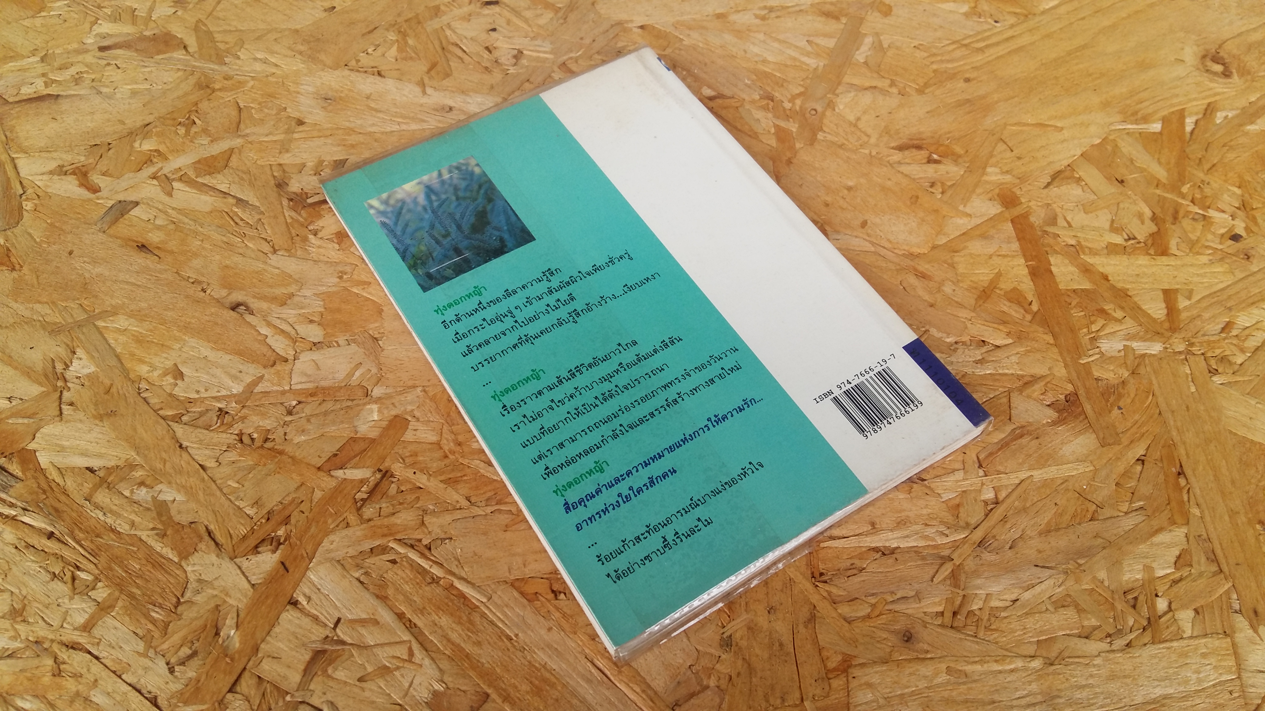 ทุ่งดอกหญ้า / ประภัสสร เสวิกุล