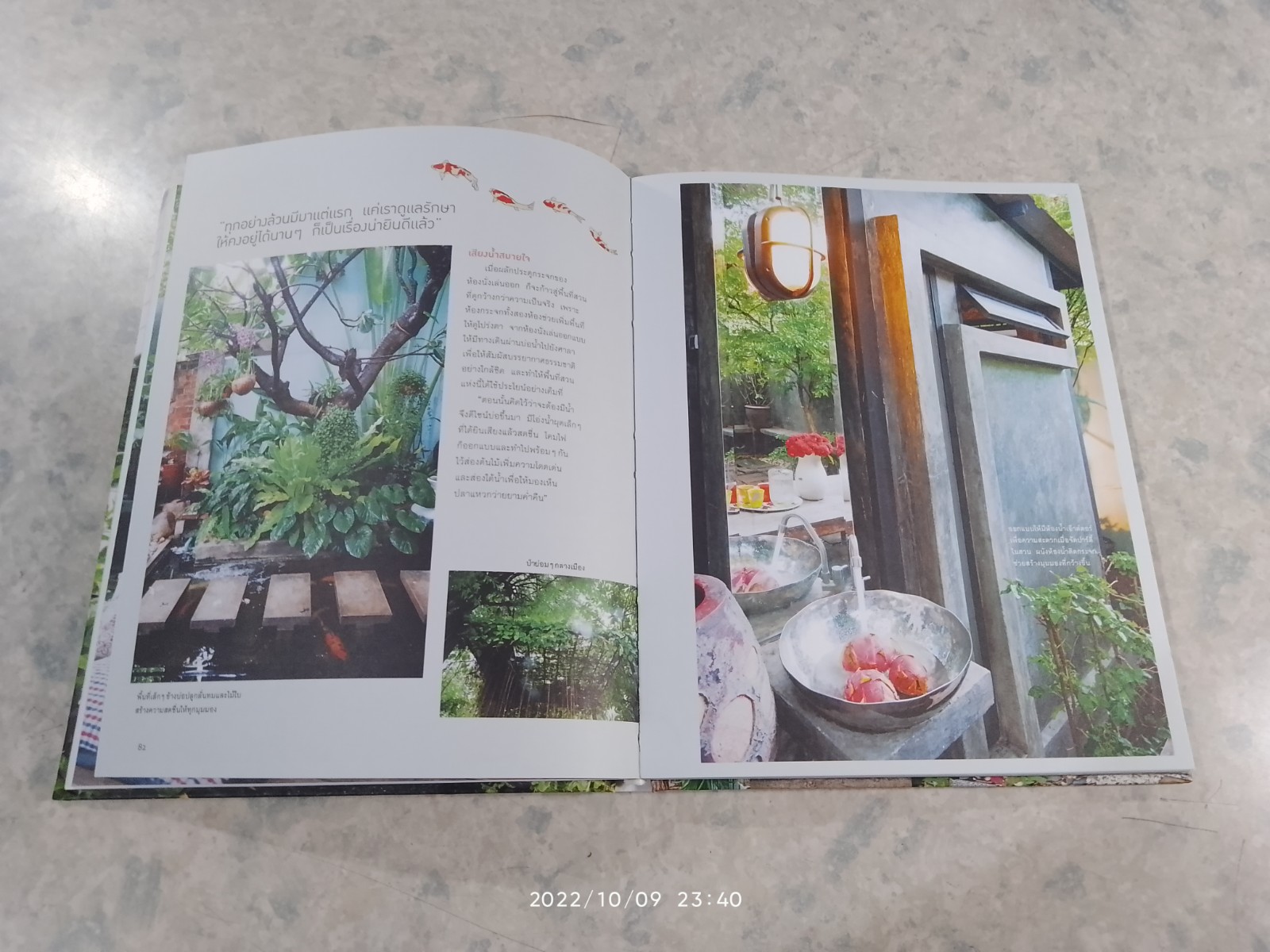 พื้นที่เล็กของคนรักสวน / ทิพาพรรณ ศิริเวชฏารักษ์