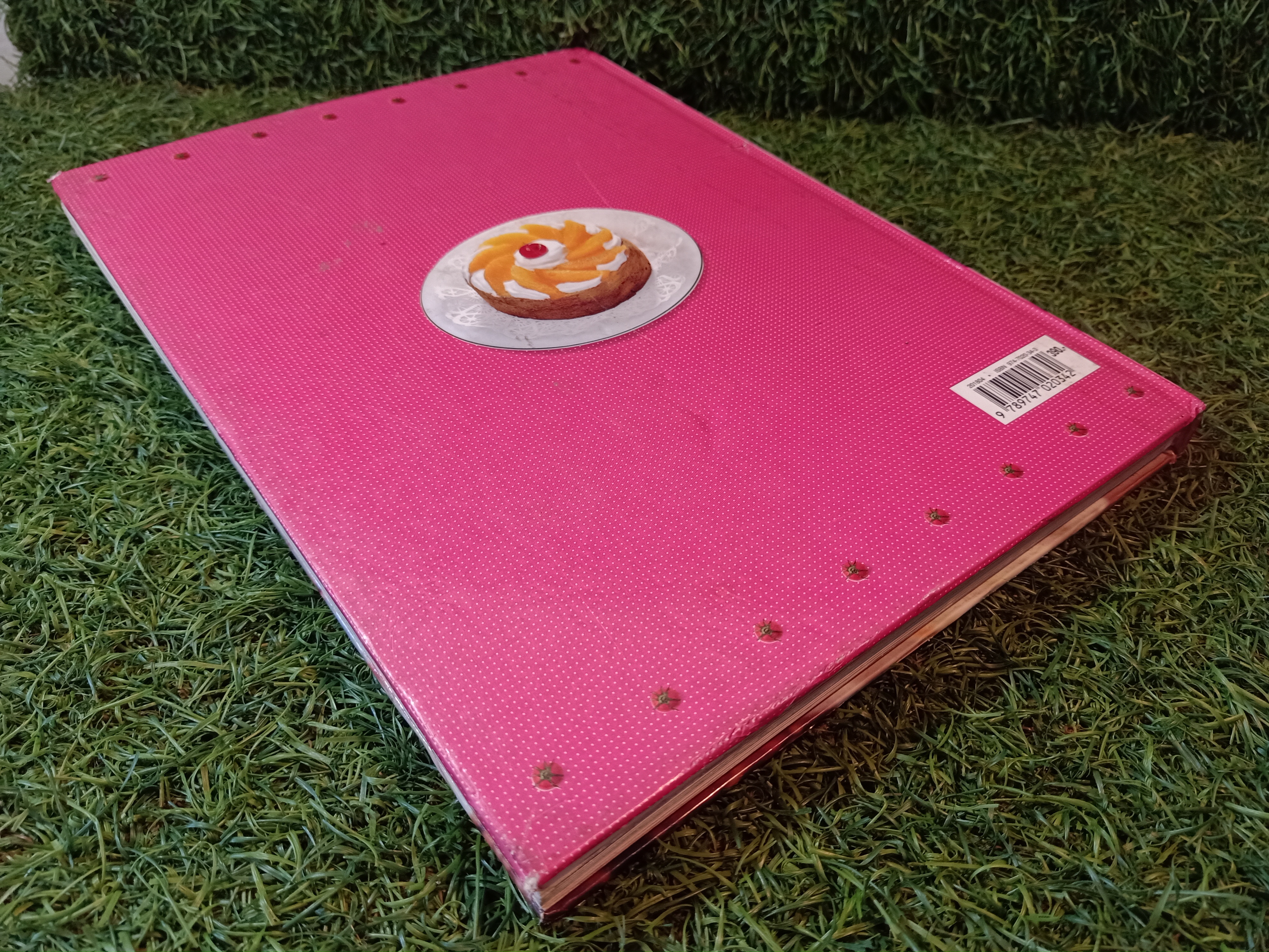 333 สูตรอาหาร "รักลูก" / รักลูก