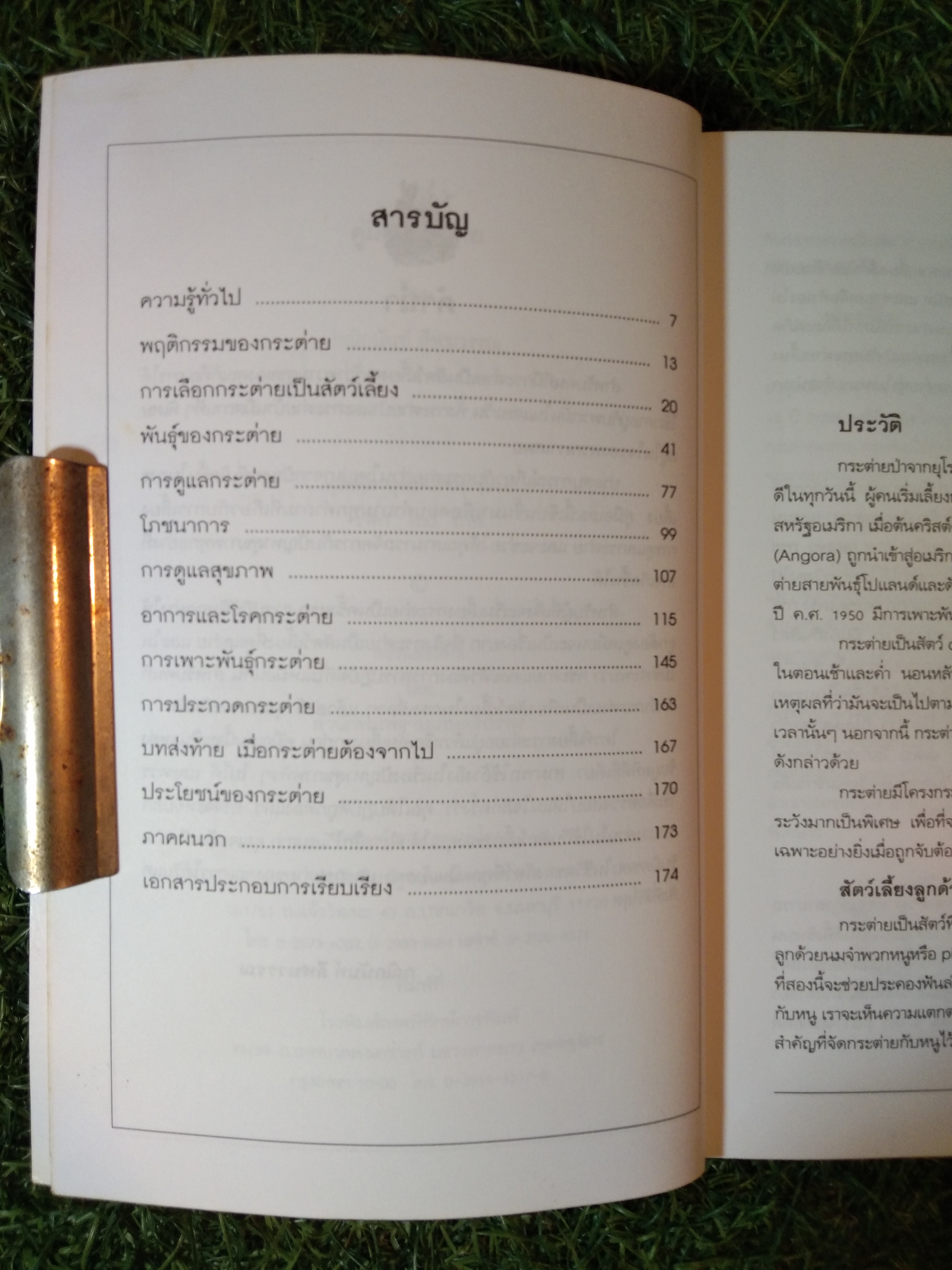 คู่มือกระต่าย THE RABBIT HANDBOOK / กณิกนันท์ ลีฬฆวรรณ