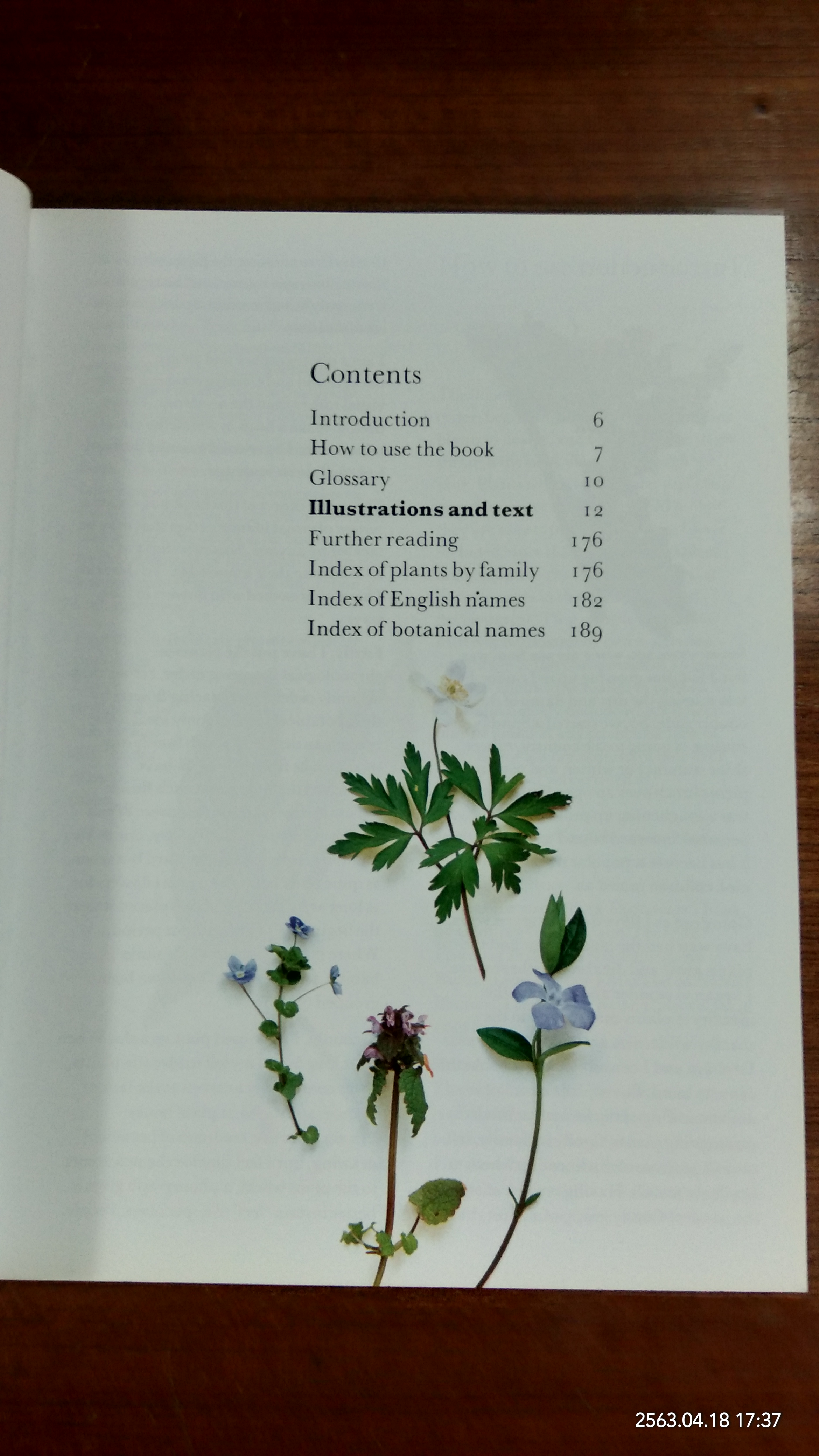 Wild Flowers of Britain Phillips / ROGER PHILLPS