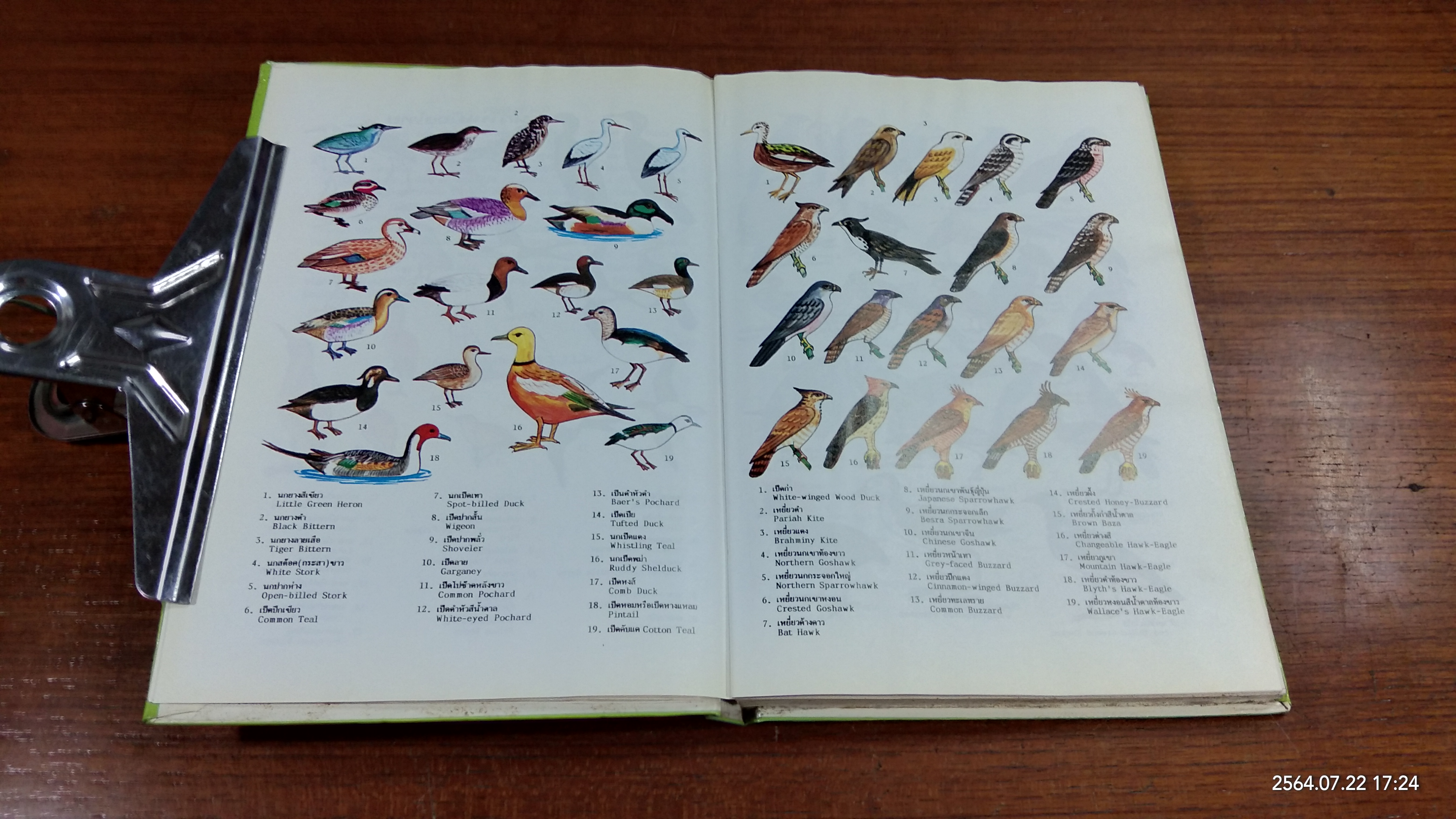 นกในเมืองไทย (มีตราห้องสมุด-มีรอยโดนน้ำ) / ดร.วิทย์ เที่ยงบูรณธรรม