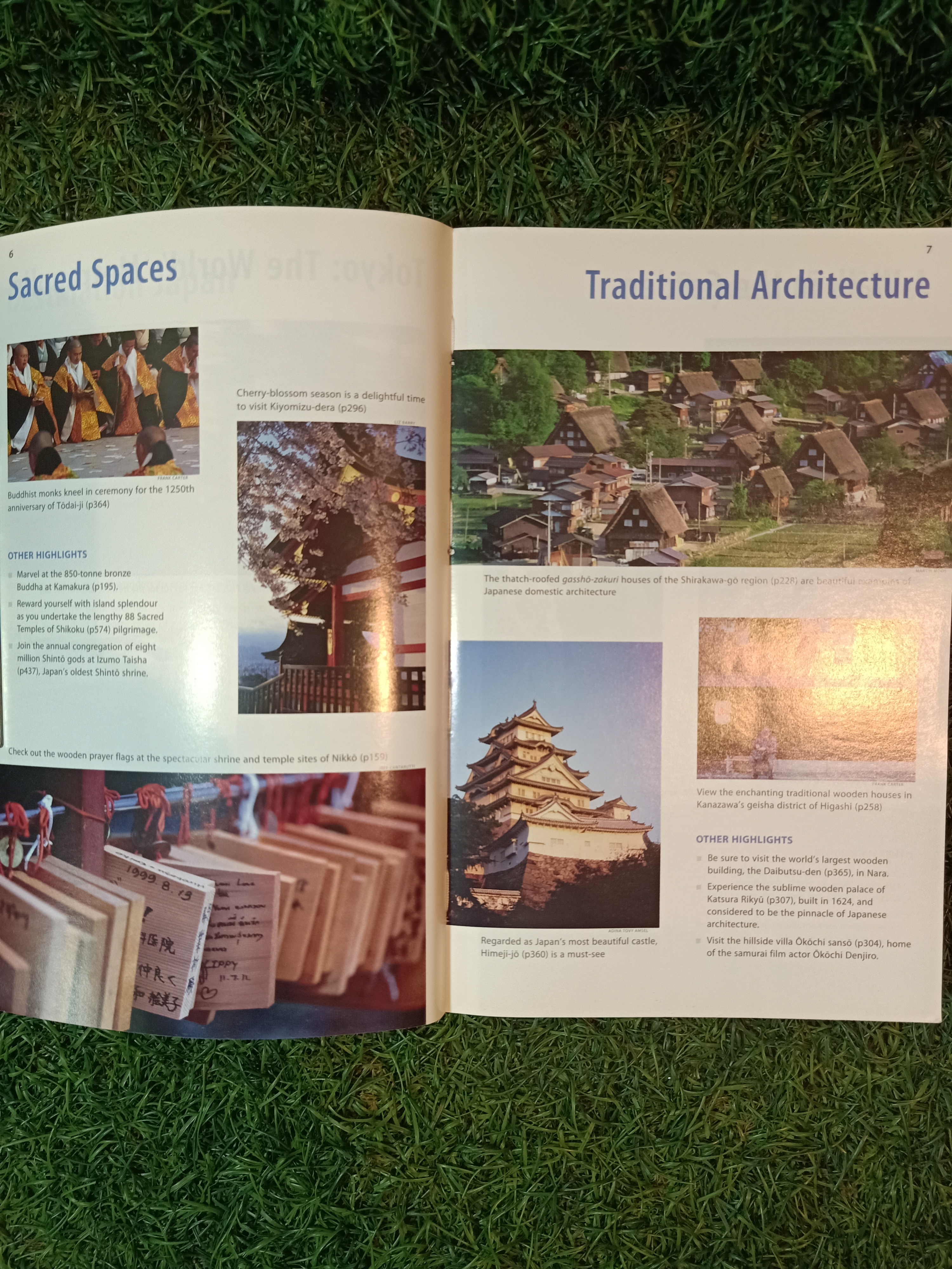 Japan / lonely plenet