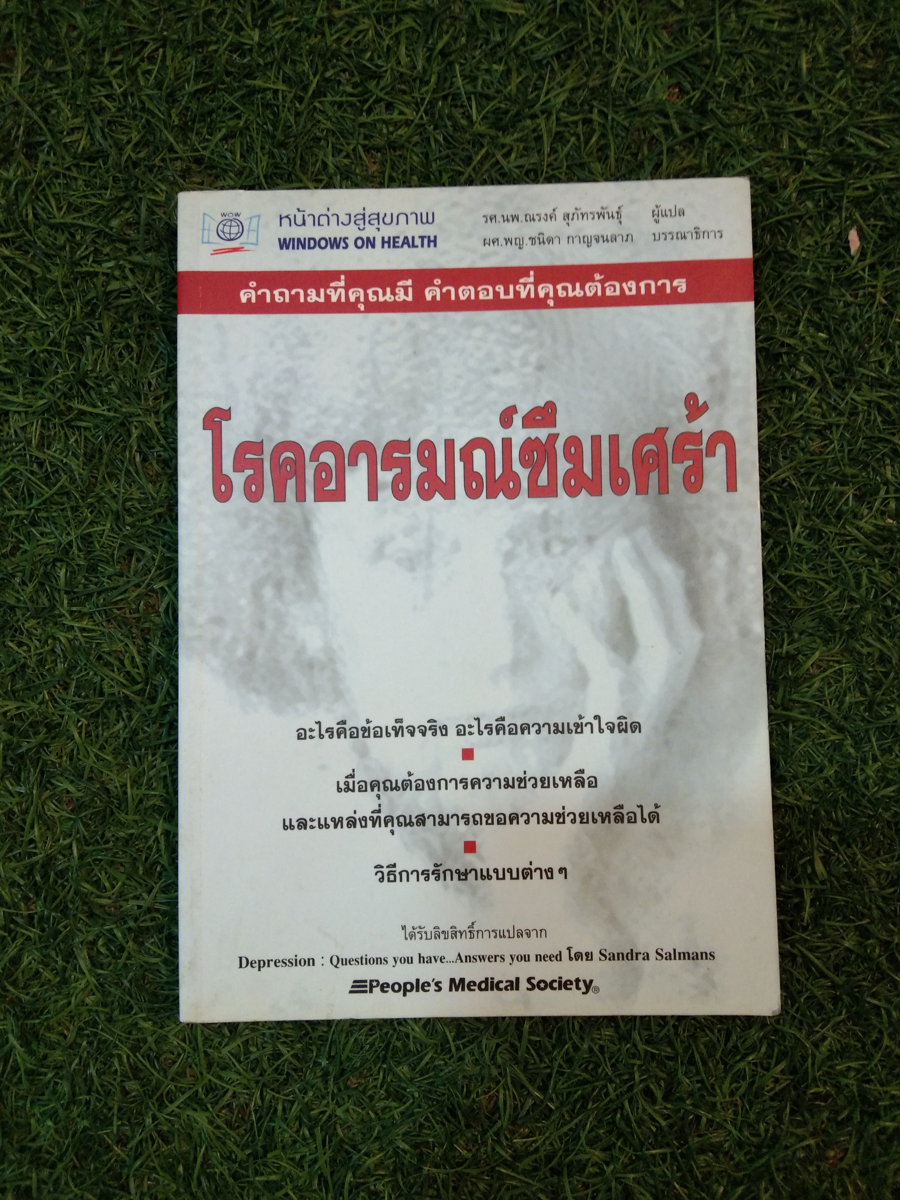โรคอารมณ์ซึมเศร้า / Sandra Salmans