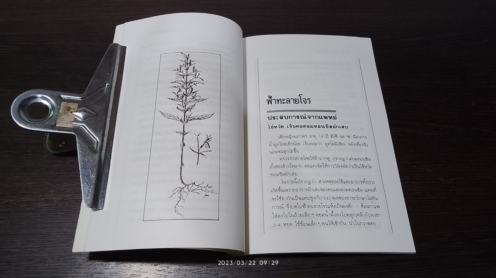 สมุนไพรรักษาไข้ / พญ.กระแส วัชรปาณ