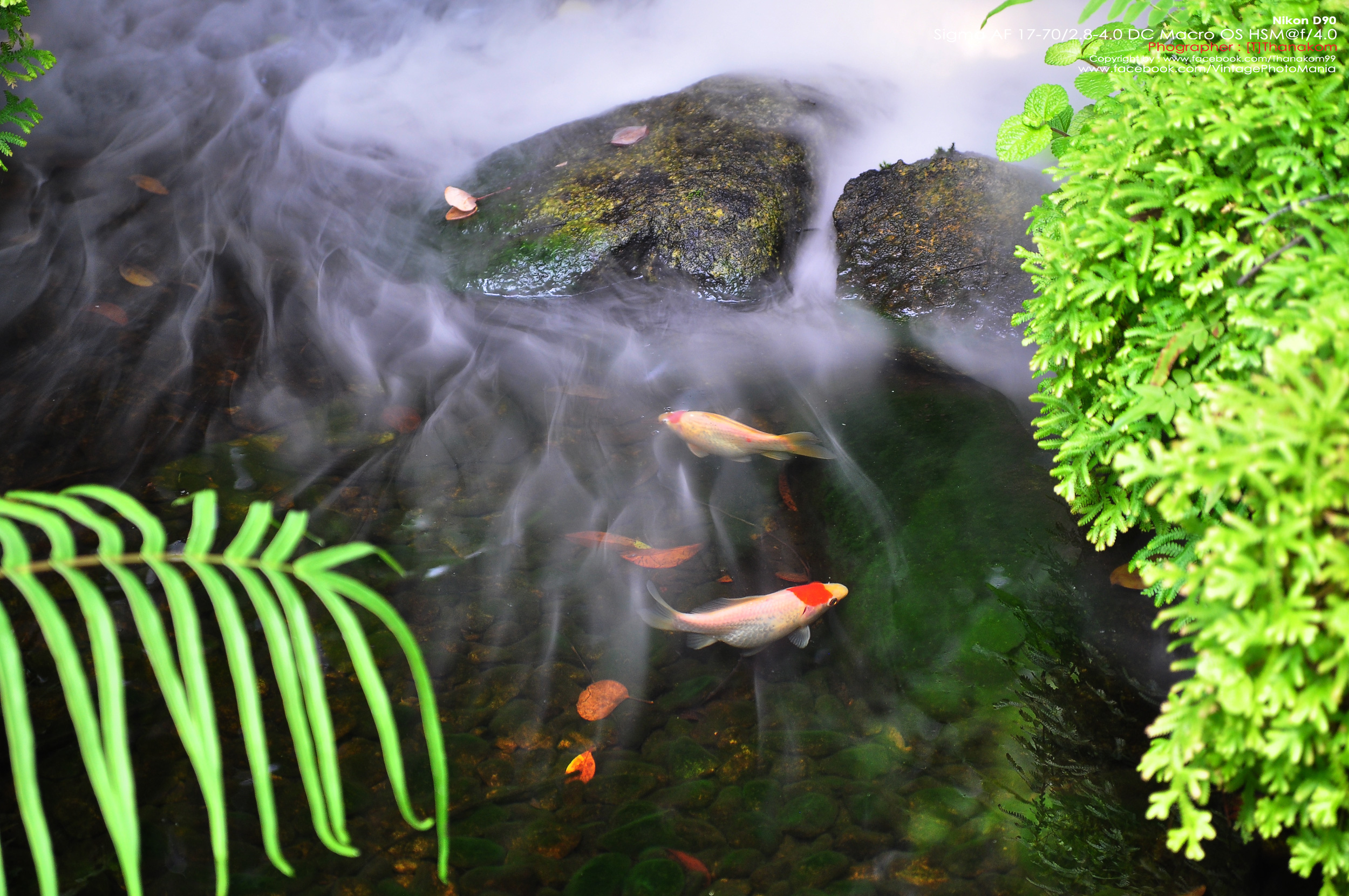 Sigma AF 17-70/2.8-4.5 DC HSM *Canon EF-S Mount [USED]