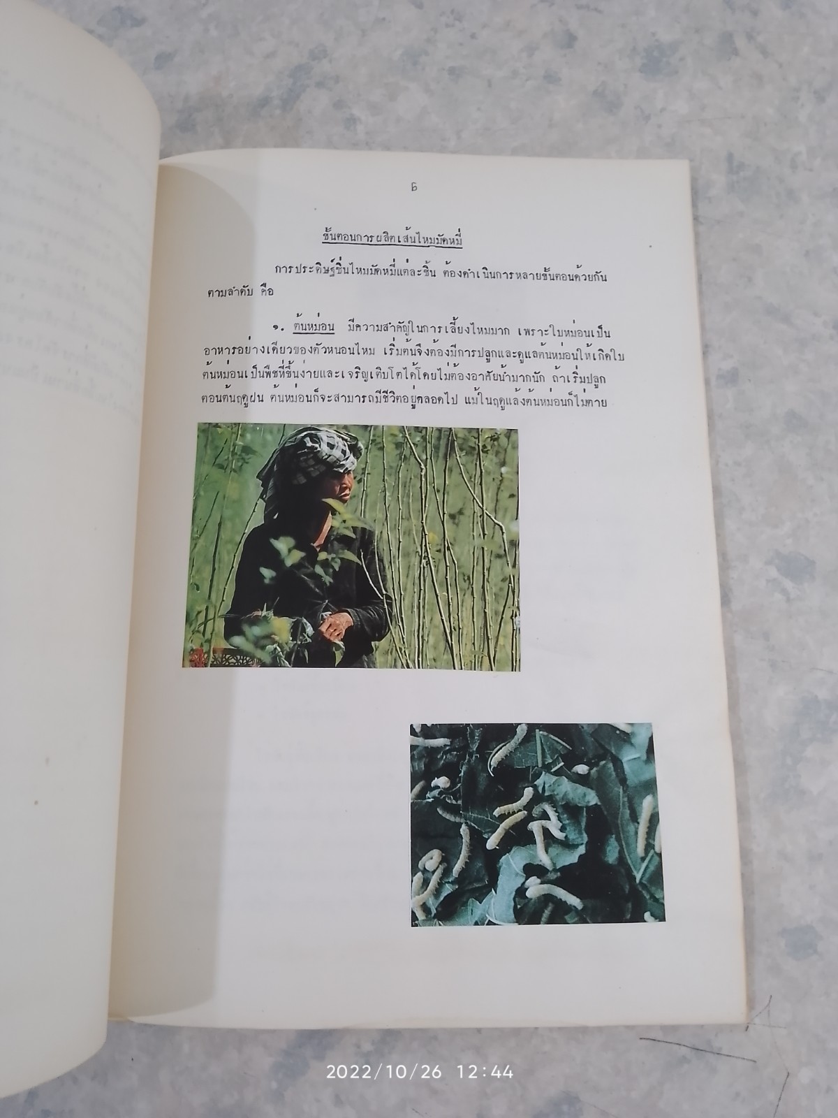 มัดหมี่ไหมไทย...สายใยชนบท