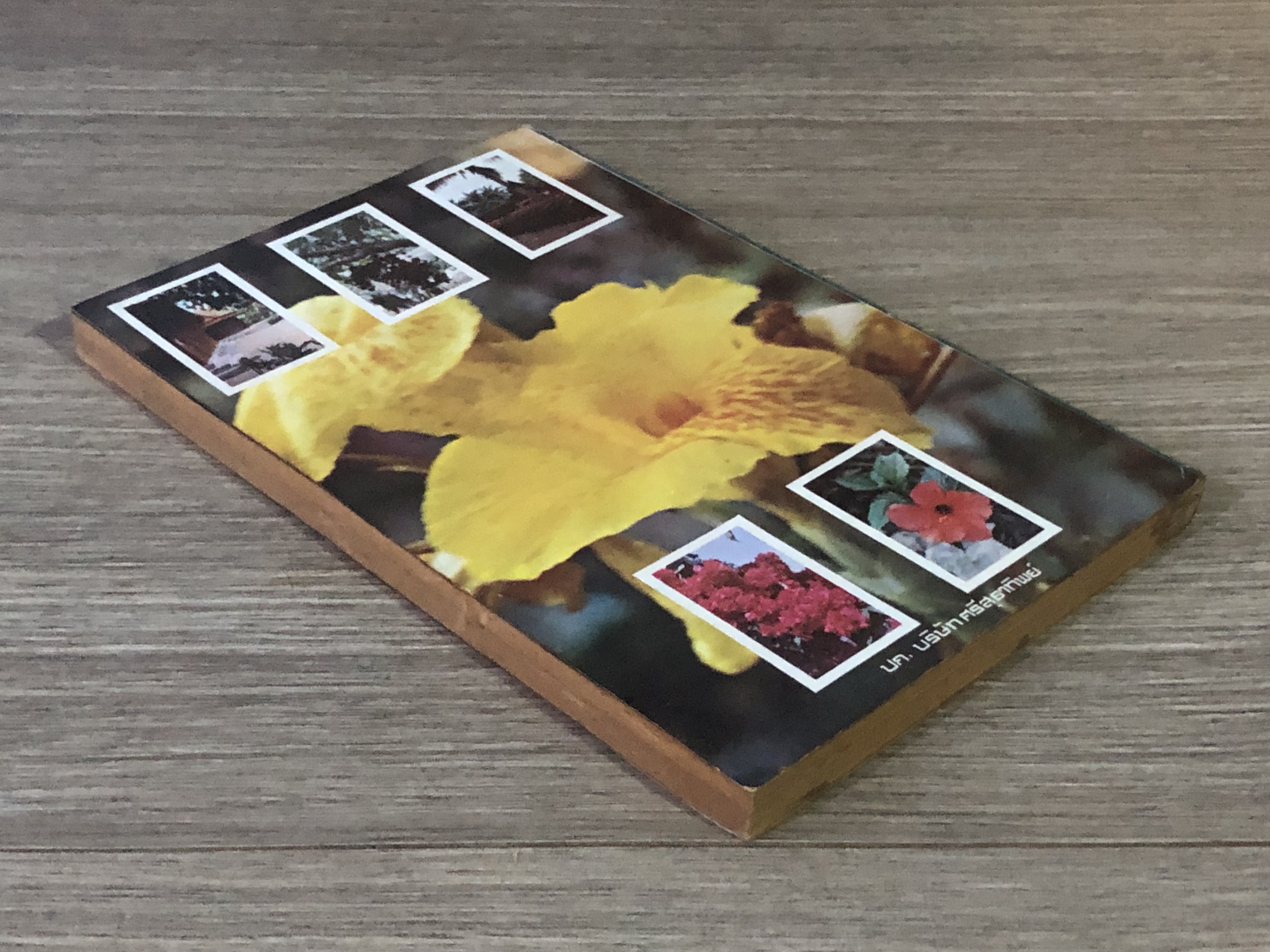 สวนหลังบ้าน 4 "นักเลงต้นไม้" / สุนทร ปุณโณทก