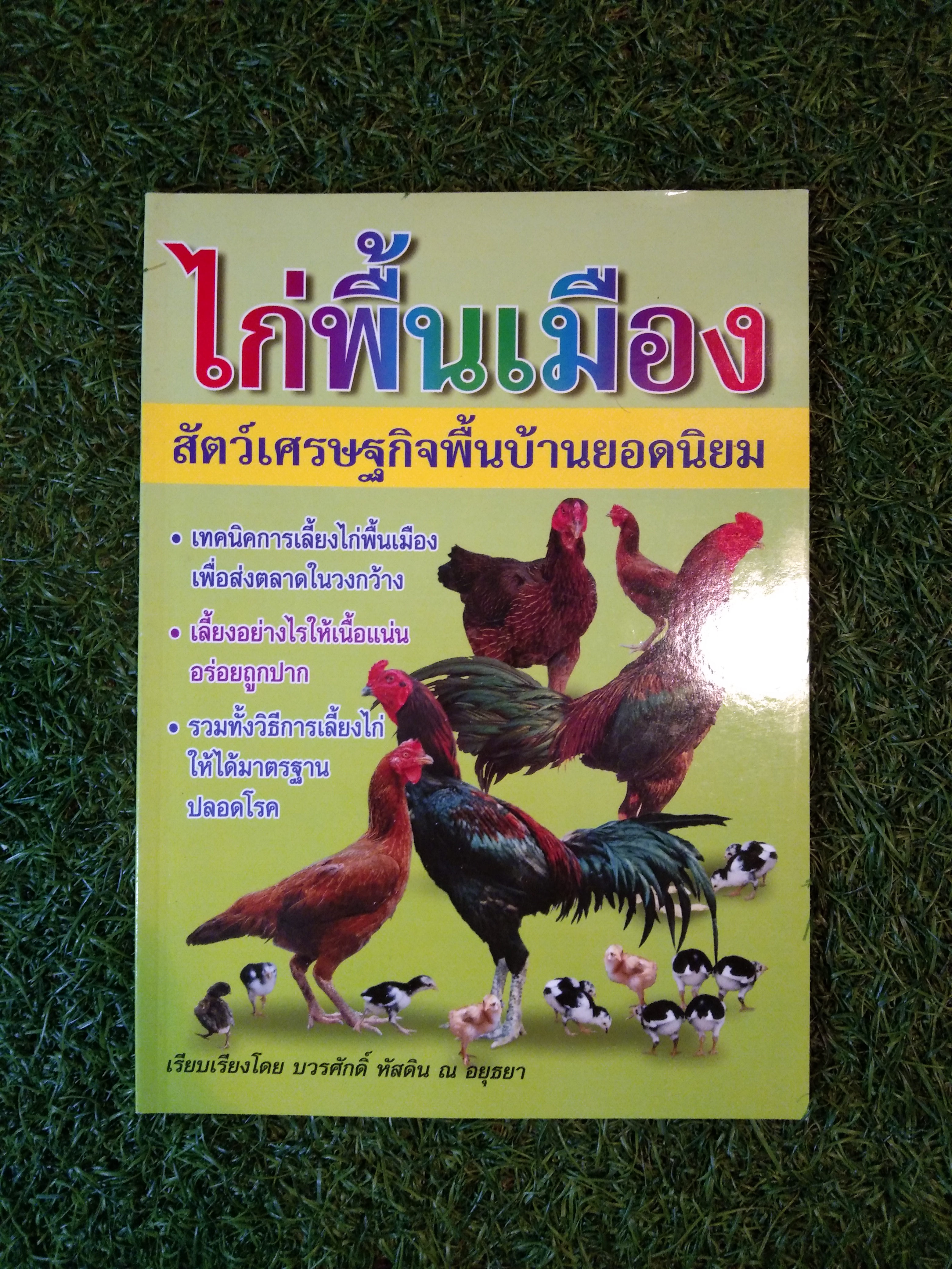 ไก่พื้นเมือง สัตว์เศรษฐกิจพื้นบ้านยอดนิยม / บวรศักดิ์ หัสดิน