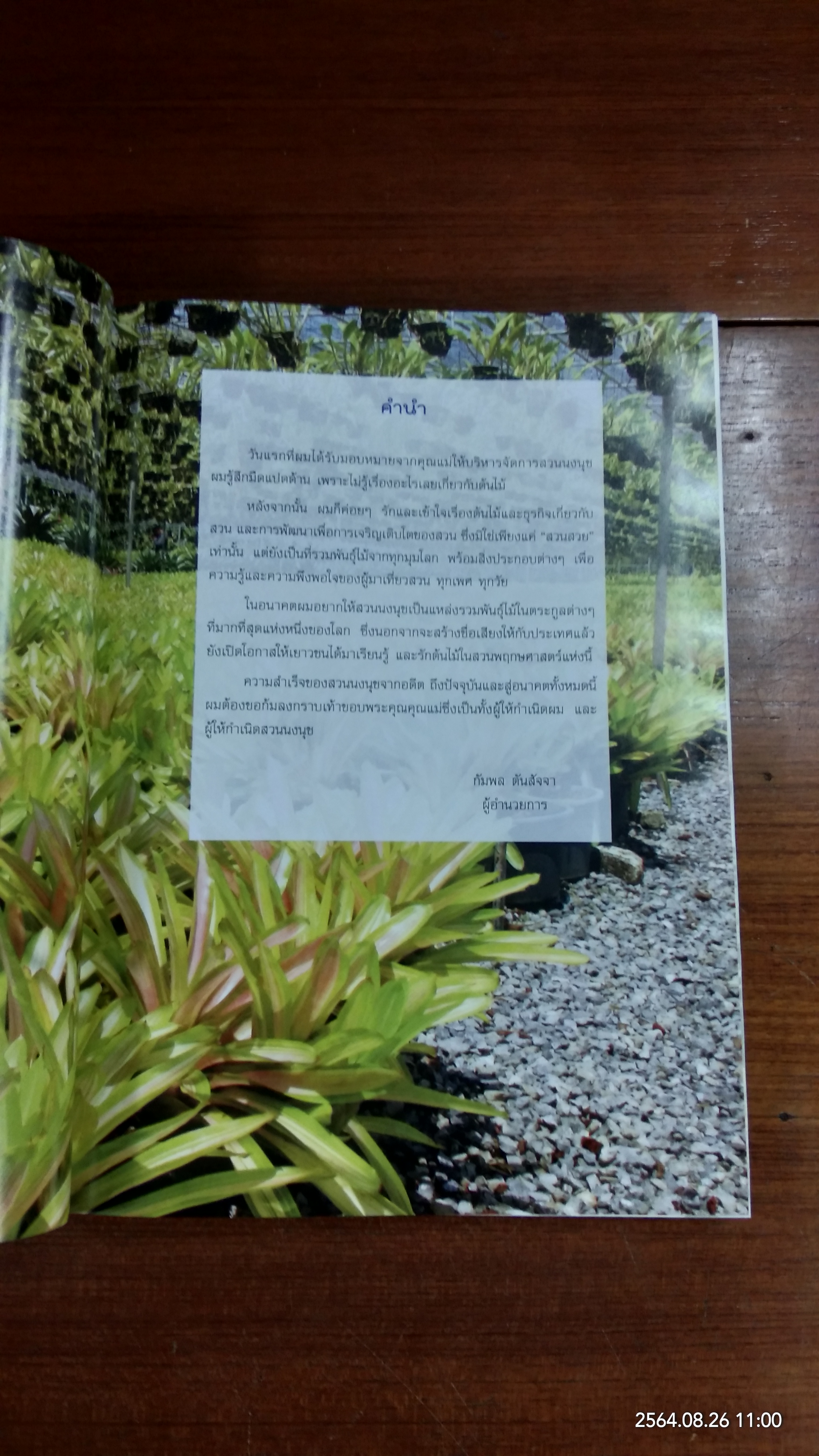 สวนพฤกษศาสตร์นงนุช พัทยา