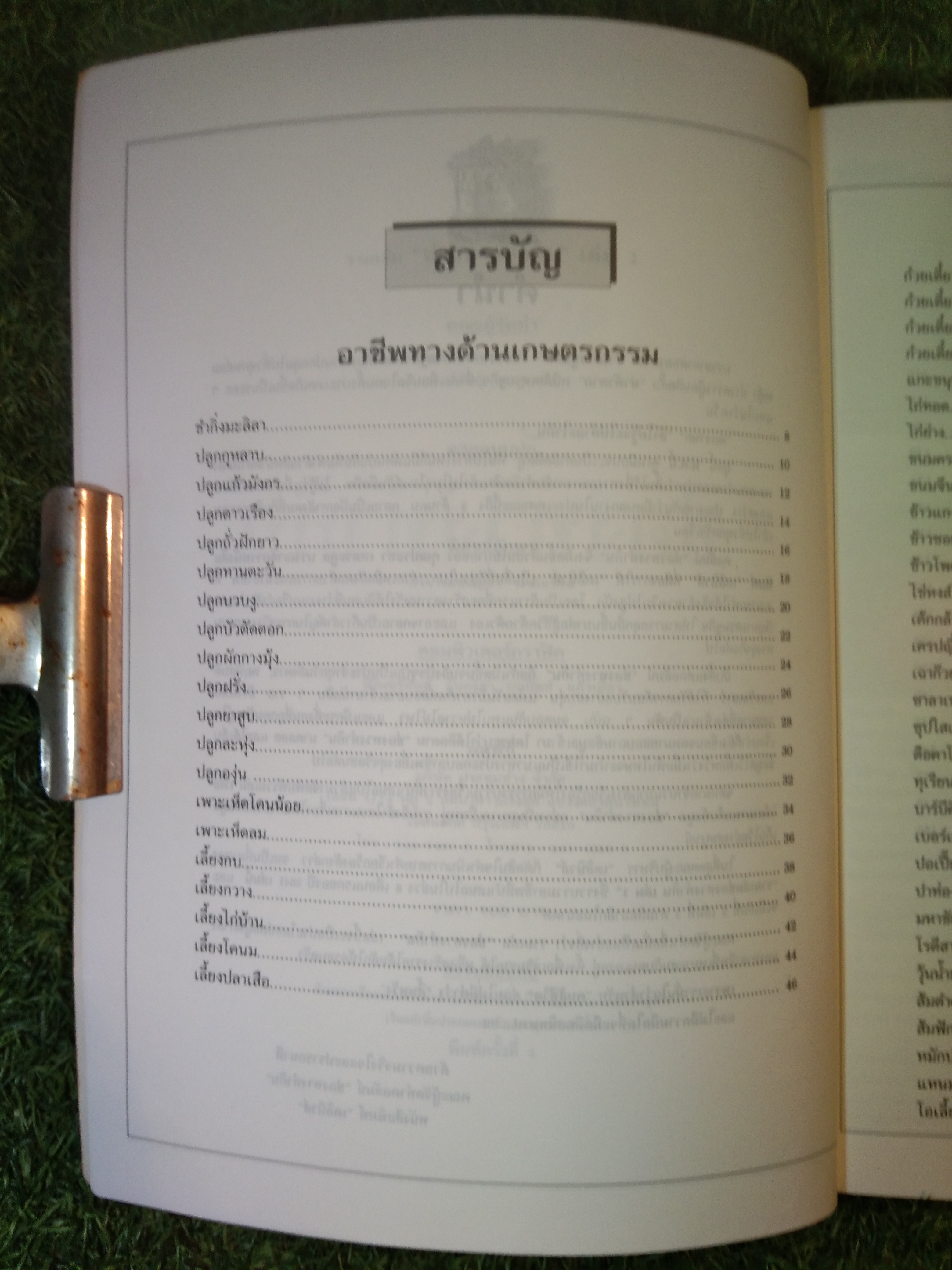 ช่องทางทำกิน เล่มที่ 1 / เดลินิวส์