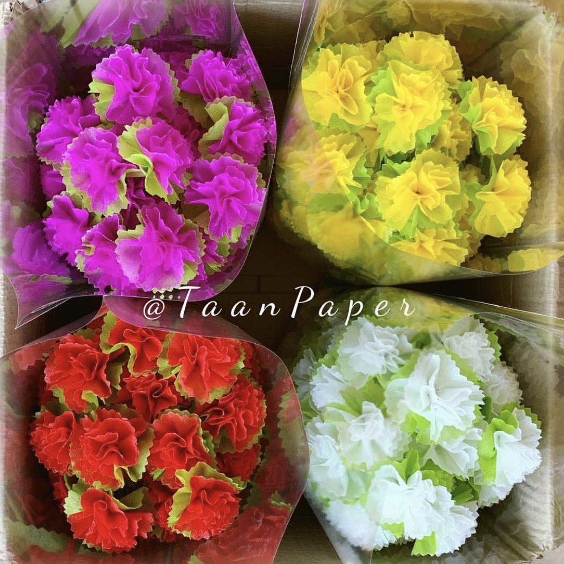 กระดาษสาห่อเหรียญ เซ็ทขอบคาเนชั่น