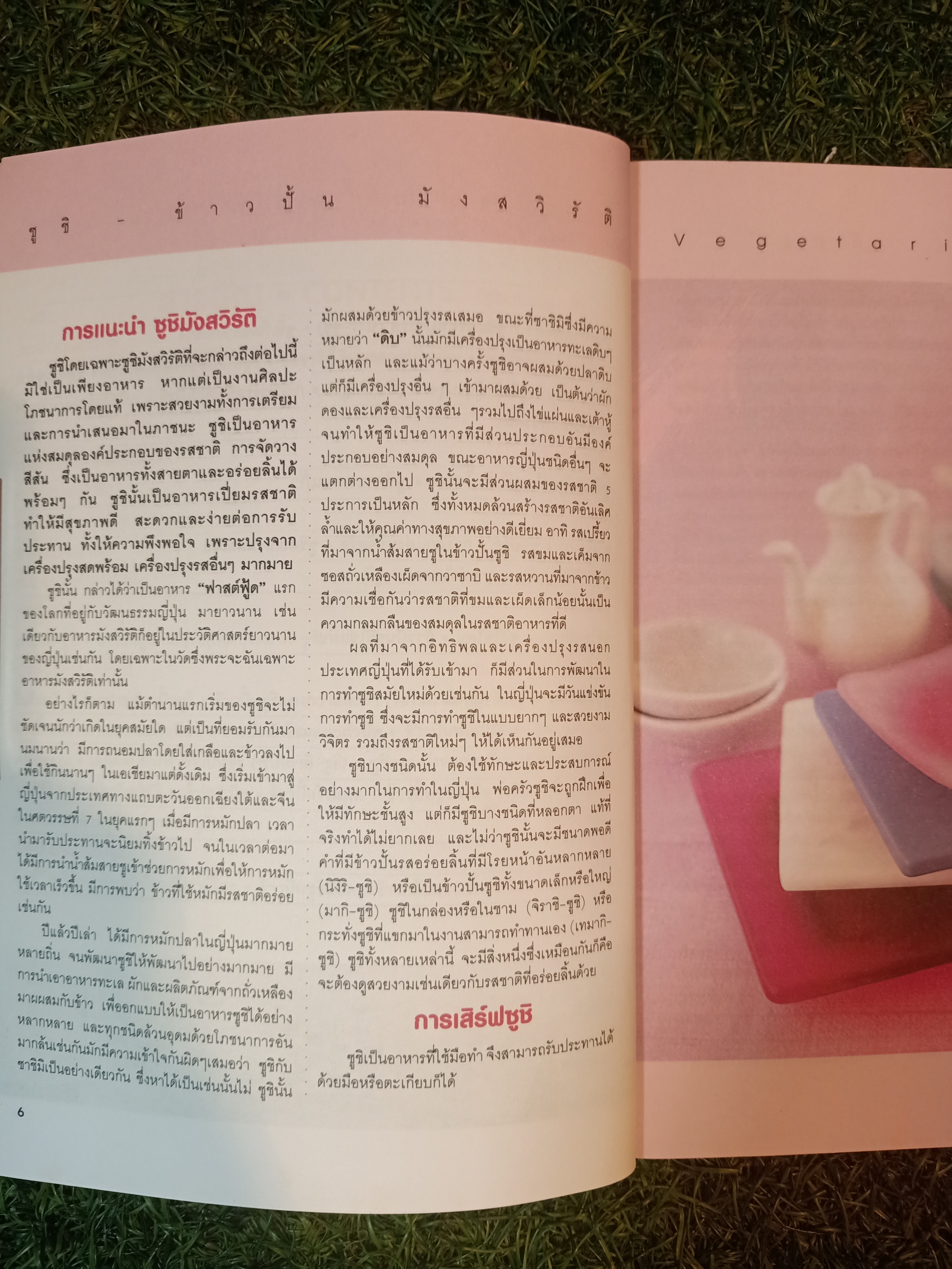 ซูชิ-ข้าวปั้น มังสาวิรัต อาหารเพื่อสุขภาพยอดฮิตของญี่ปุ่น / Vegtarian Sushi