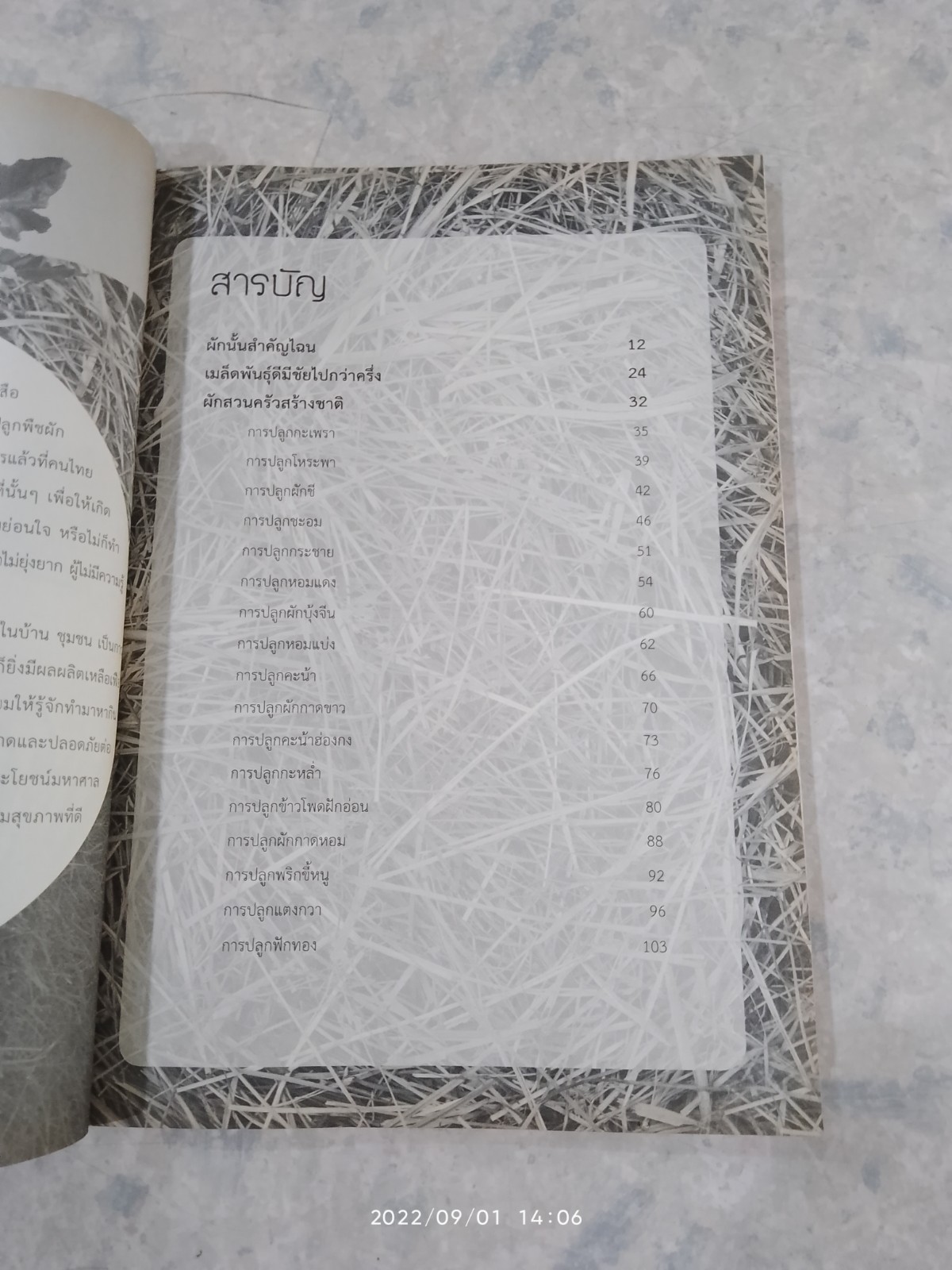 ปลูกผักสวนครัว ปลูกเอง-กินเอง-ปลอดสารพิษ / วารินี ธรรมชาติไพศาล