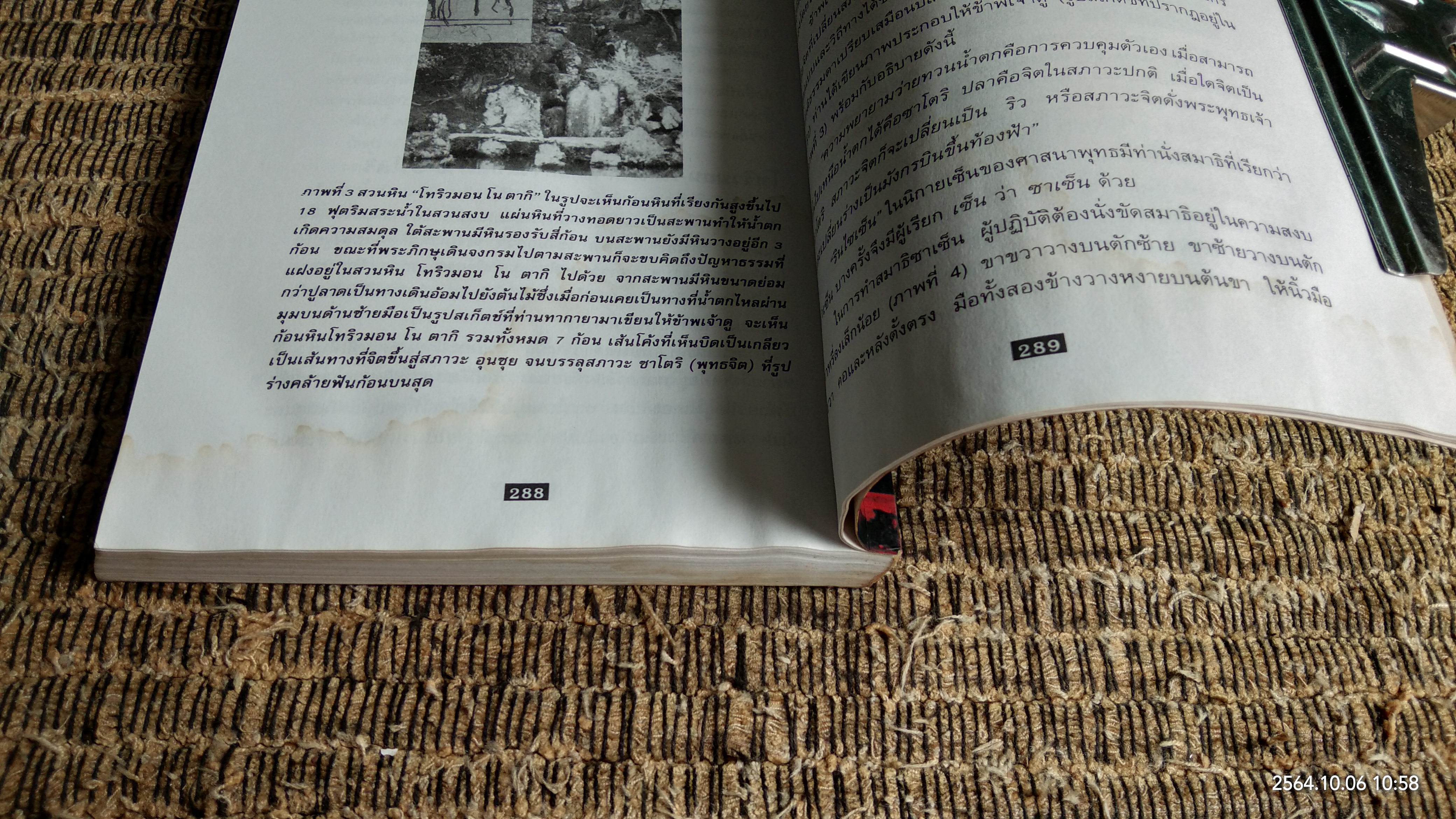 พลังลี้ลับแห่งปฐพี (มีรอยโดนน้ำ) / JAMES A. SWAN