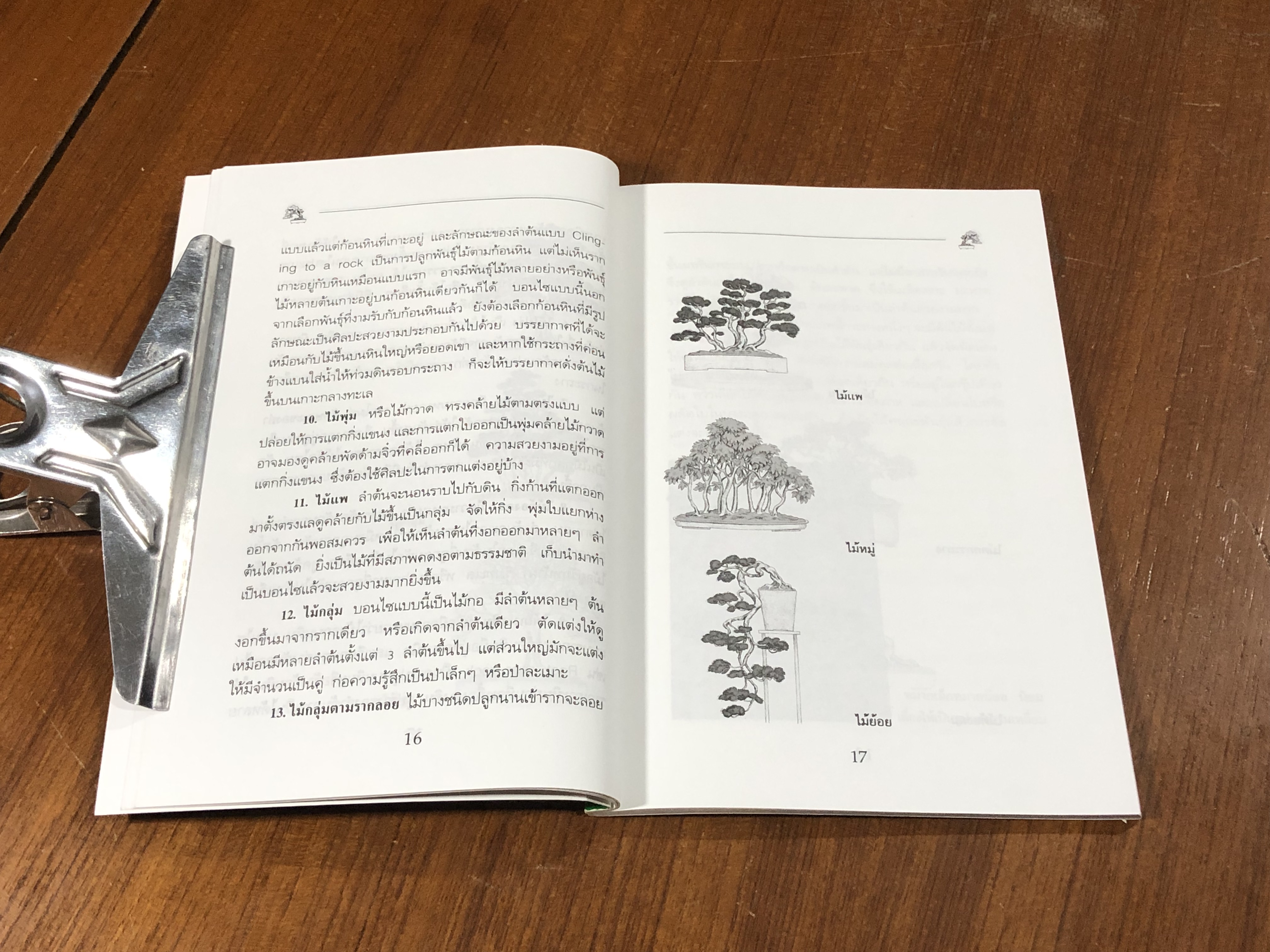 บอนไซ / อ.สมาน ศรีปราโมช