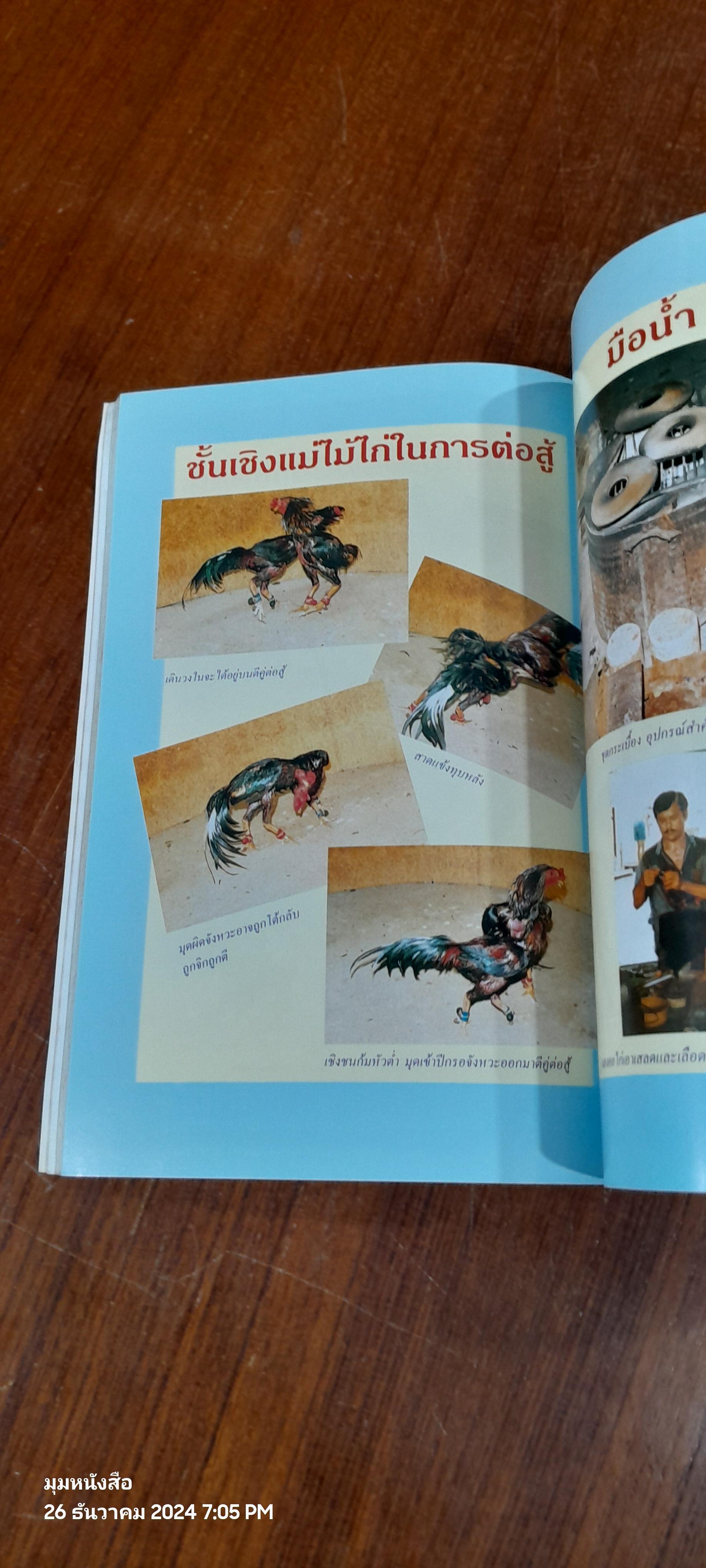 ตำนานไก่ชน / ภานุพงศ์ ประภาพรพิทักษ์
