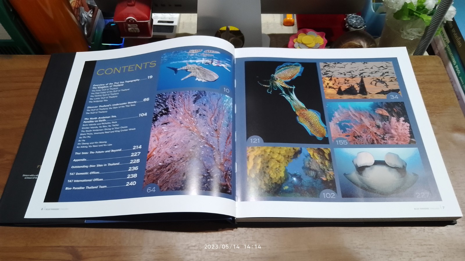 BLUE PARADISE THAILAND