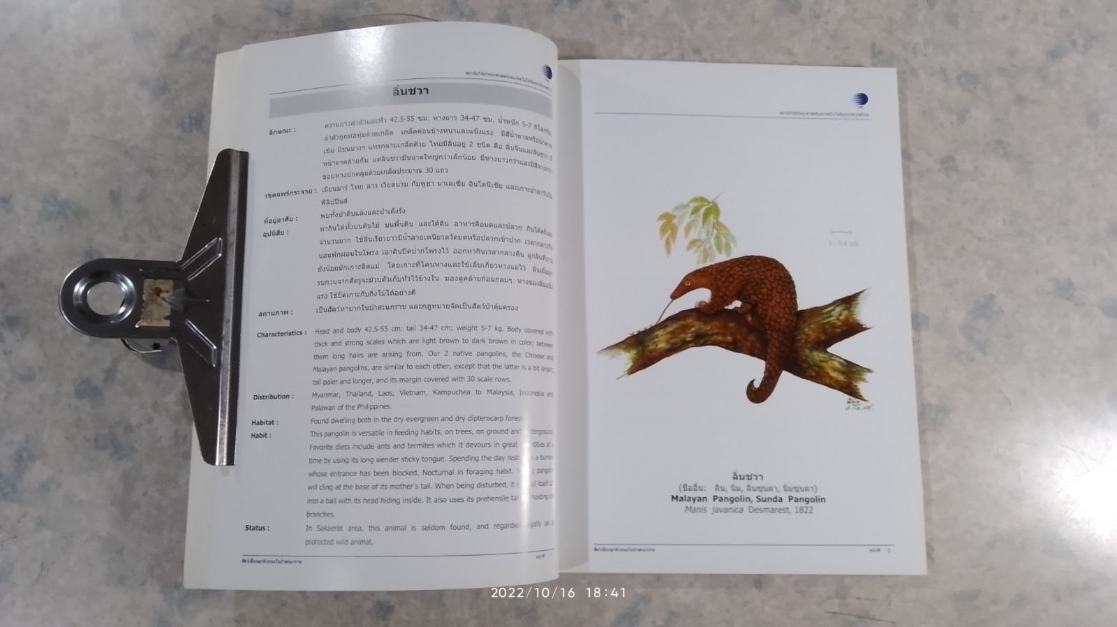 สัตว์เลี้ยงลูกด้วยนมในป่าสะแกราช