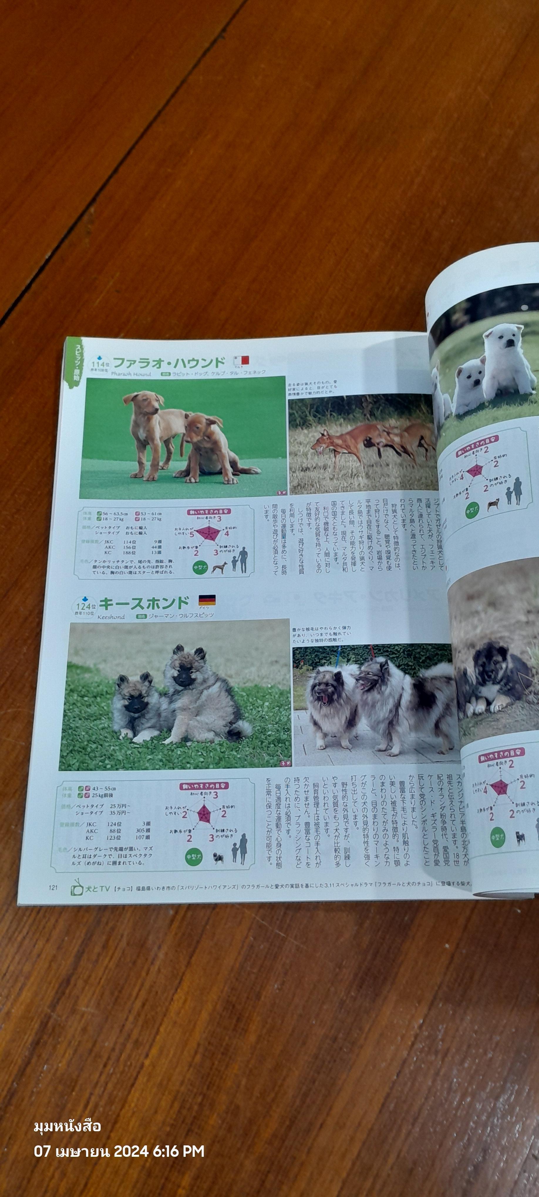 日本と世界の犬のカタログ ２０１６年版 （ＳＥＩＢＩＤＯ ＭＯＯＫ）: แคตตาล็อกสุนัขจากประเทศญี่ปุ่นและโลก ฉบับปี 2559 (SEIBIDO MOOK)