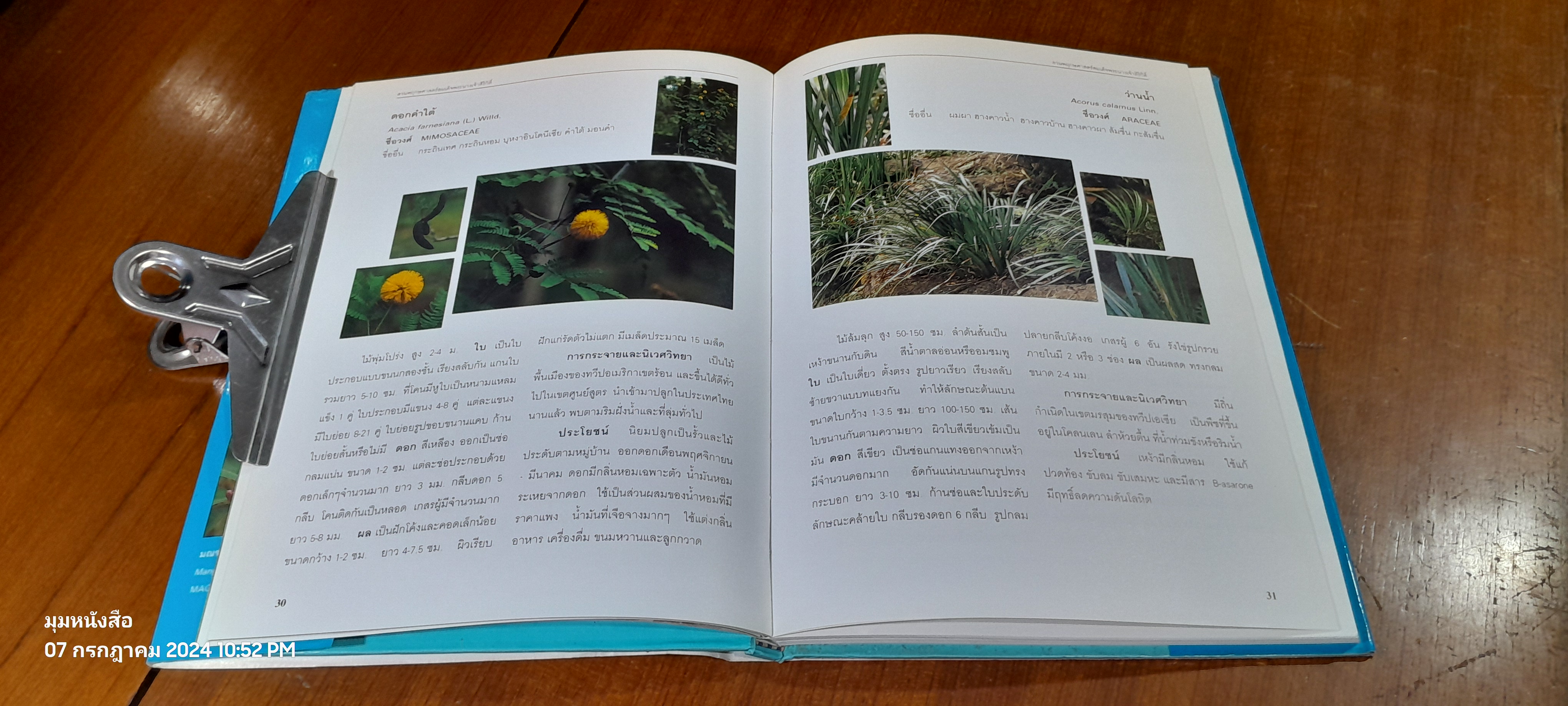 สวนพฤกษศาสตร์สมเด็จพระนางเจ้าสิริกิติ์ เล่ม 3