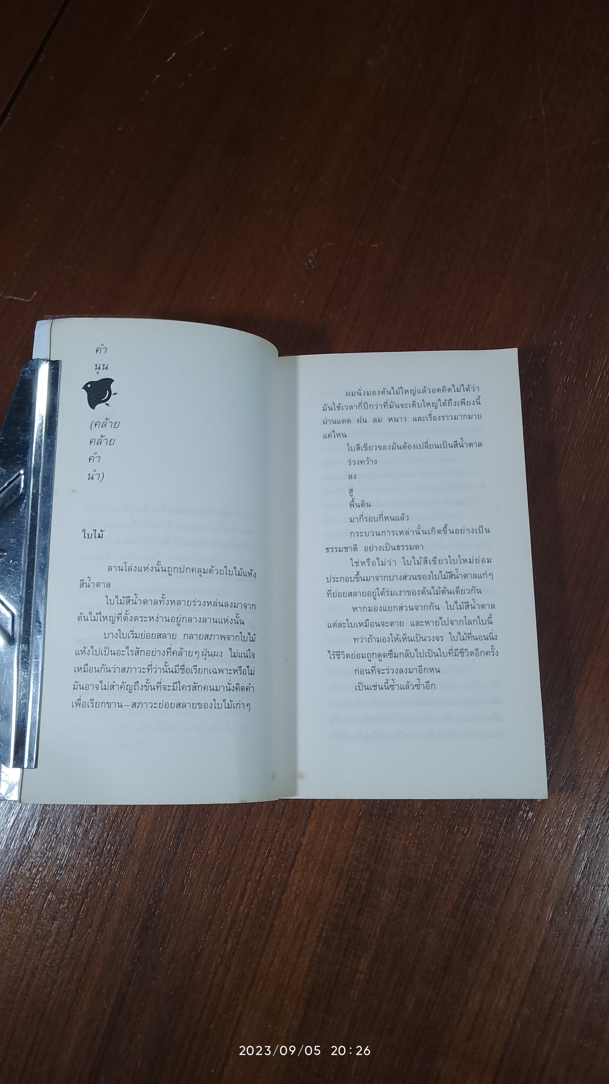 สิ่งที่ค้นพบระหว่างนั่งเฉยเฉย / นิ้วกลม